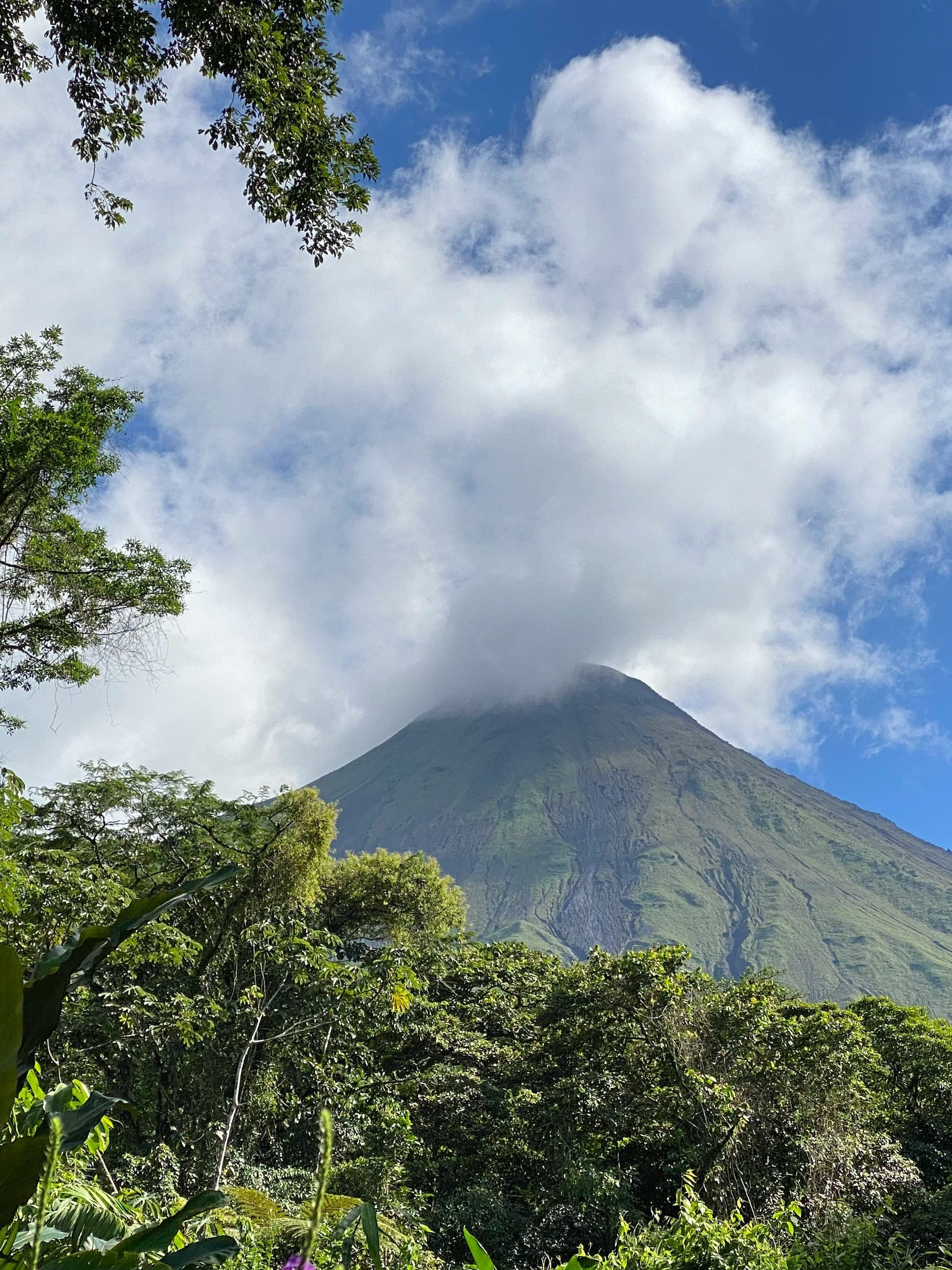 Four Days of Nature in Costa Rica’s Rainforest curated by Karen Tindall