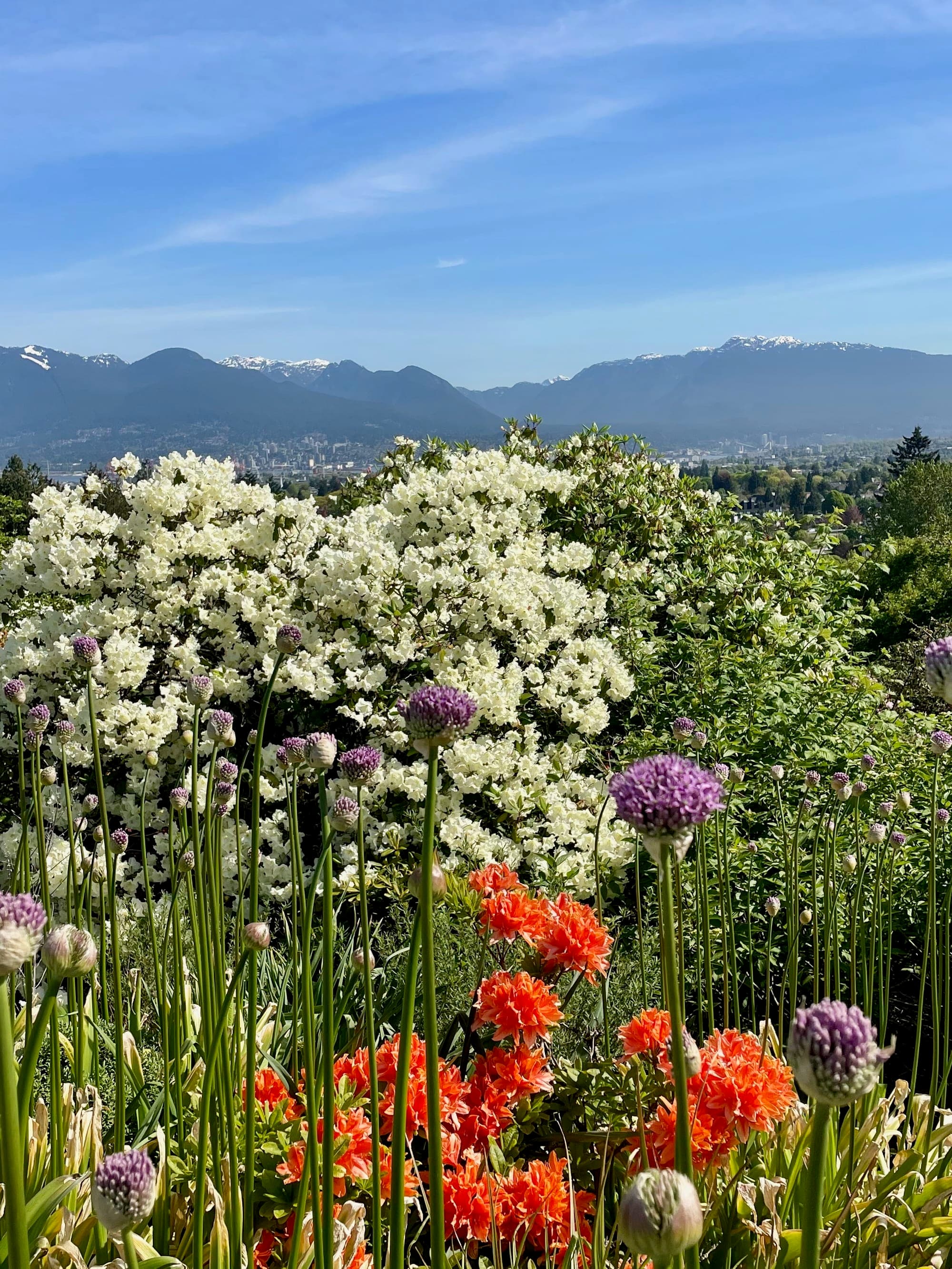 Solo in the City: Eat and Bike Your Way Through Vancouver curated by Monica Reason