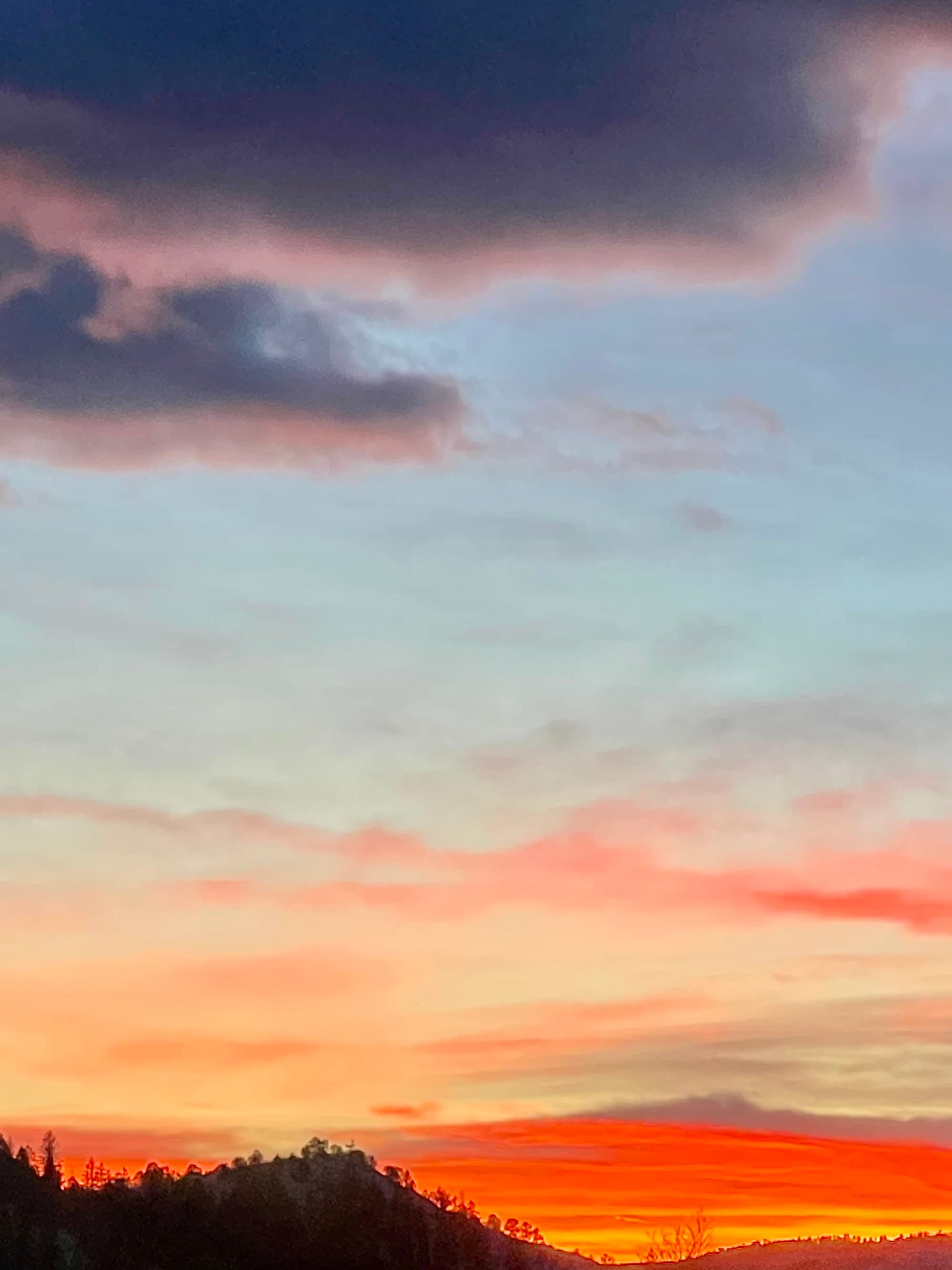 Durango, Colorado: Your Gateway to Outdoor Adventure and Cozy Retreats curated by Allie Meador