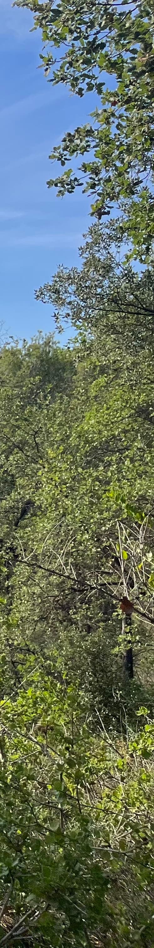 Late Summer in Catalonia: Barcelona, Girona, Costa Brava & the Catalan Countryside curated by Jessica Gianelli