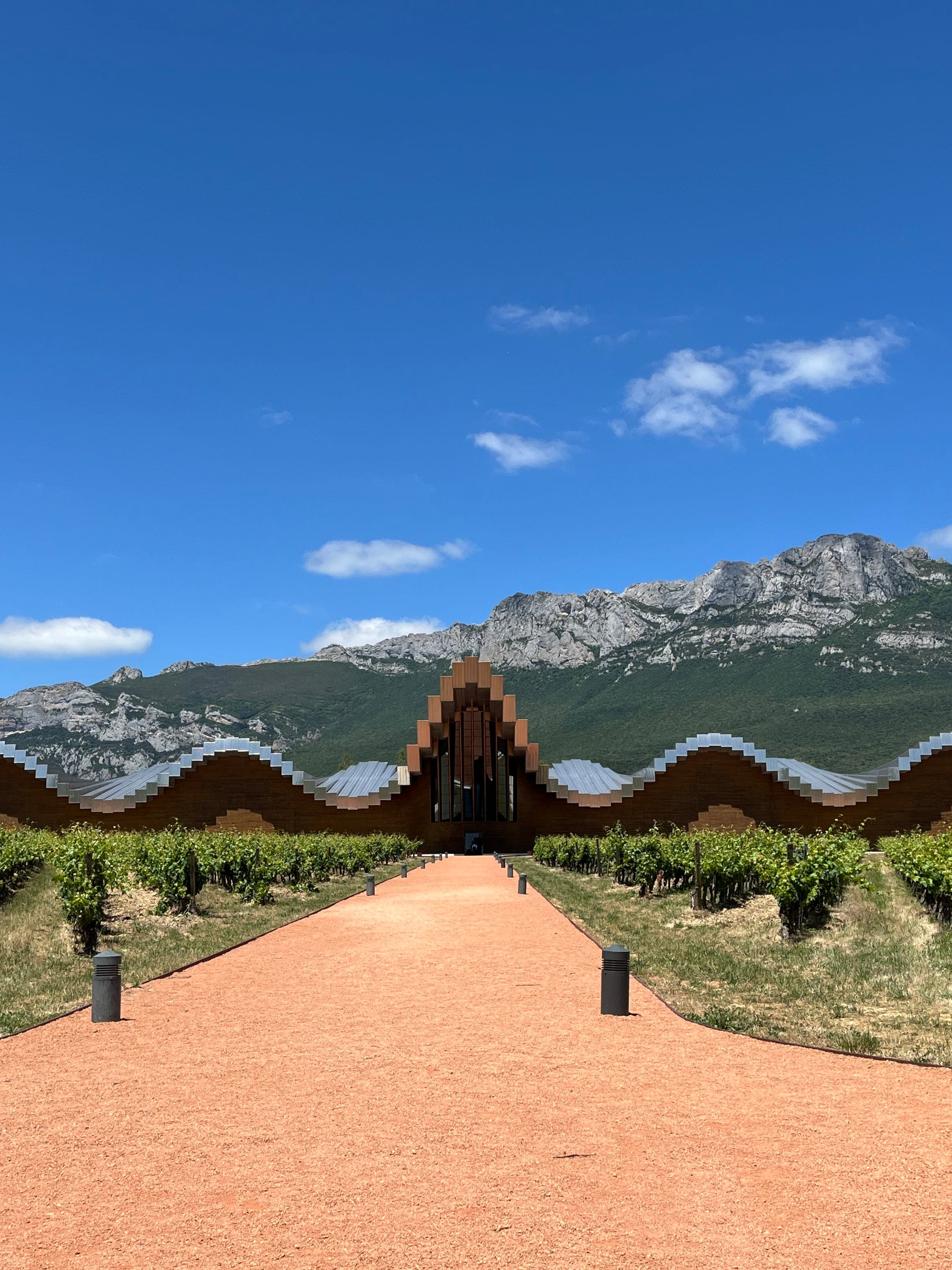 Eating Your Way Through Logroño: A Love Letter to Calle Laurel curated by Lucy Stephens