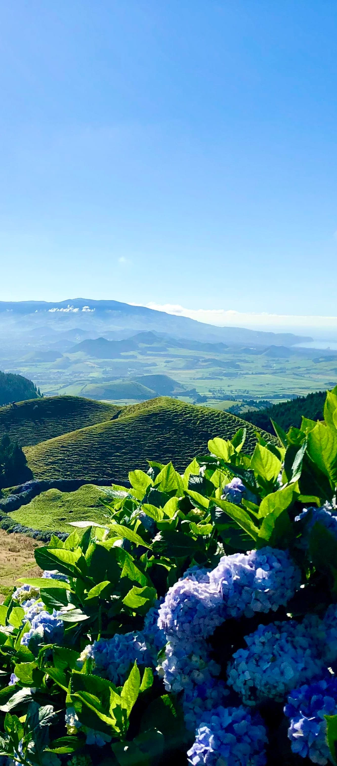 Hiking, Hydrangeas & Hot Springs: The Spectacular Beauty of the Azores curated by Amber Fox