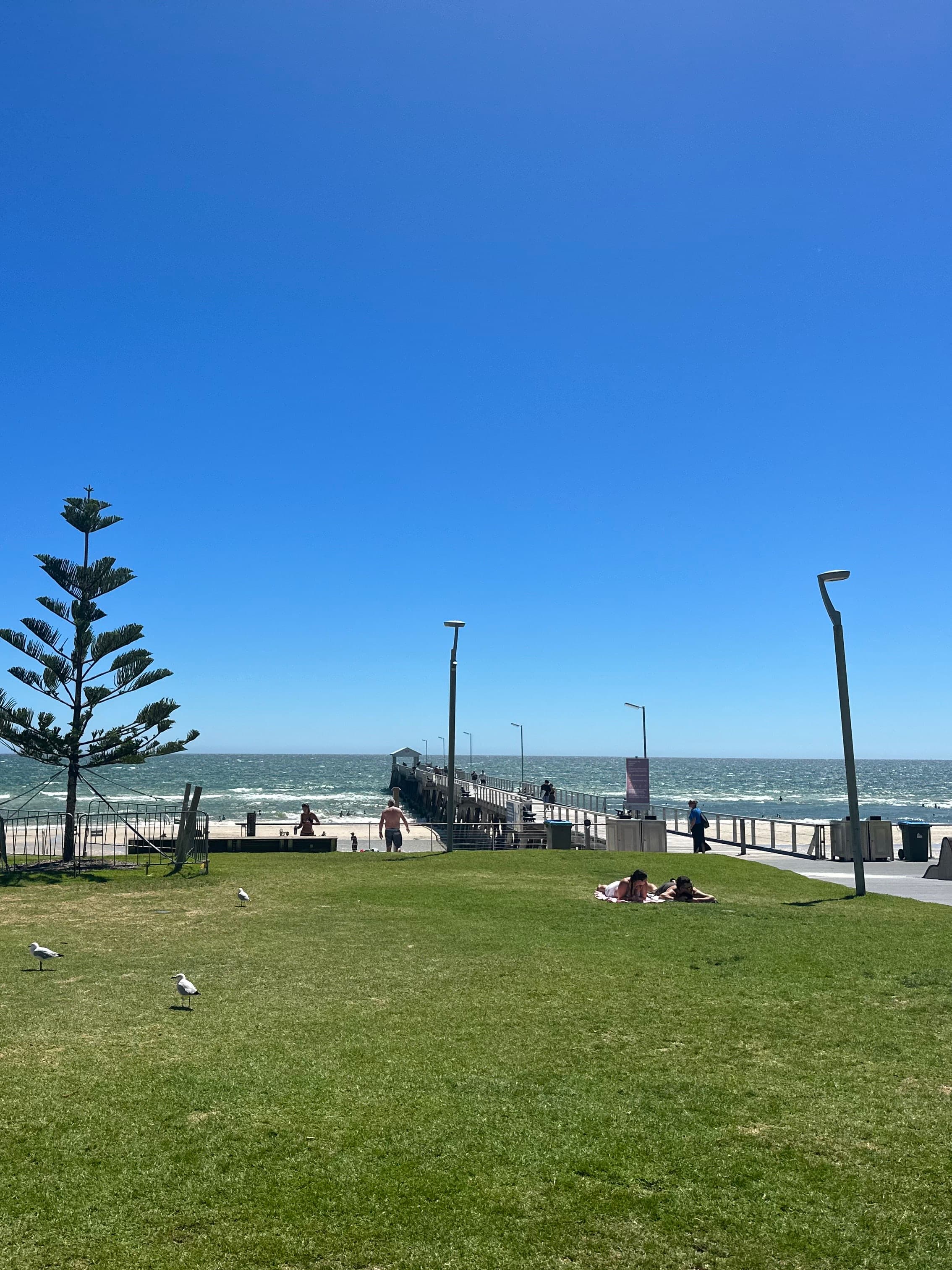 The Ultimate Guide to Adelaide: Food, Wine and Adventure curated by Emily Lawson