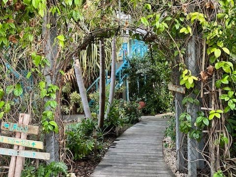 Site Inspection at Boardwalk Boutique Hotel Aruba curated by Stacey Walsh