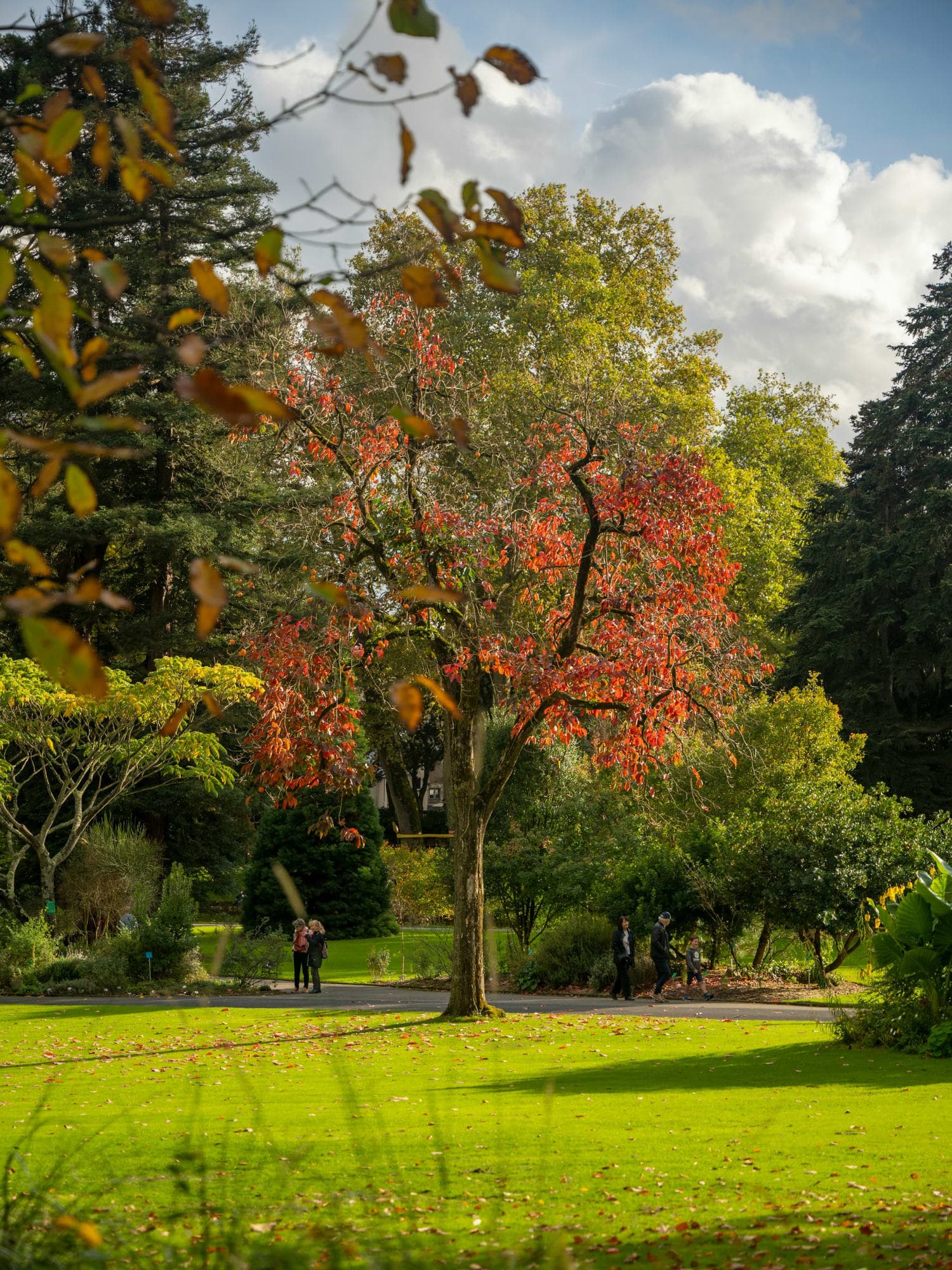 Paris For the Repeat Traveler curated by Shoshana Edelman