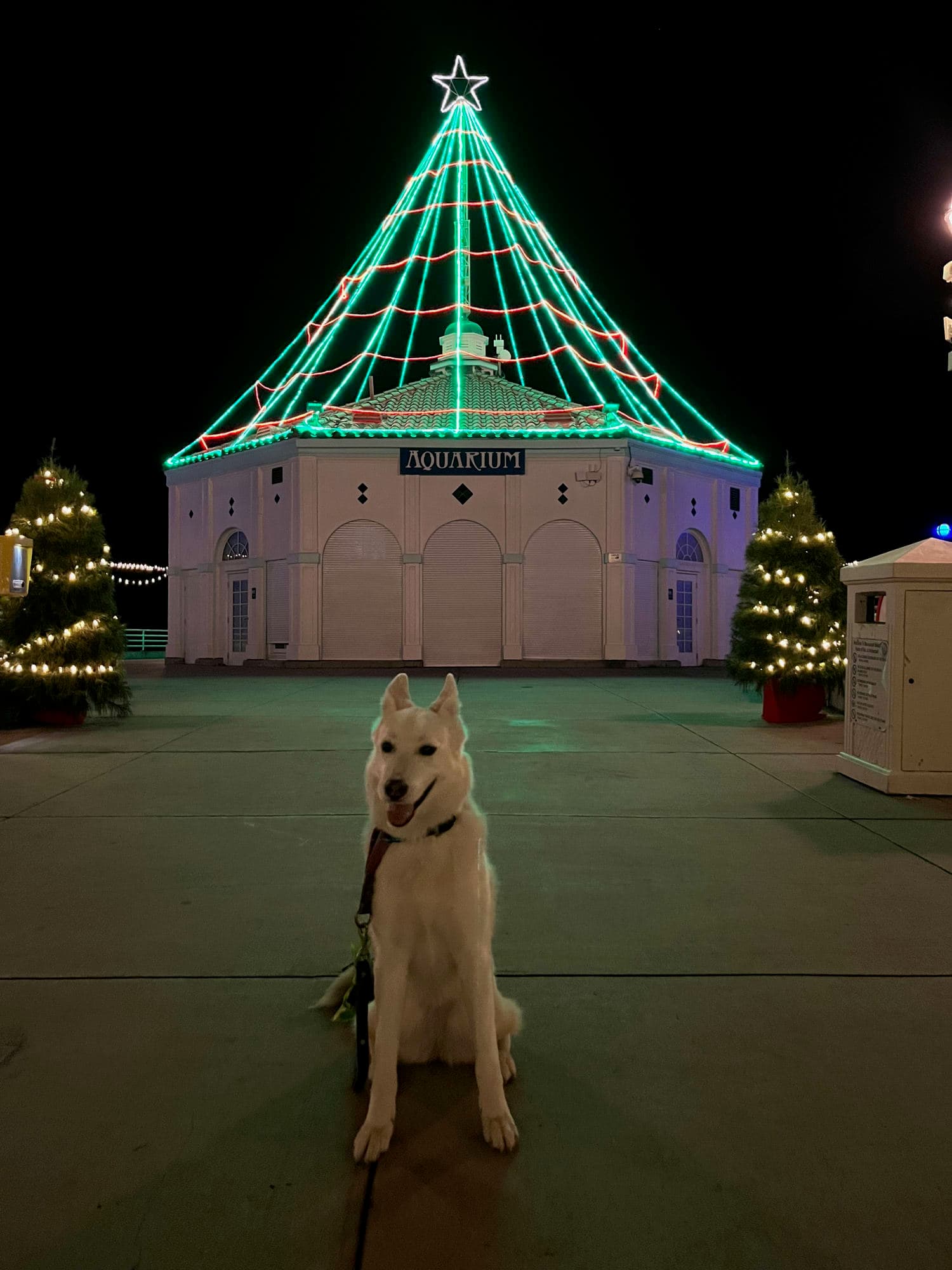 A Must Stop in Los Angeles is Manhattan Beach curated by Nancy Pappas