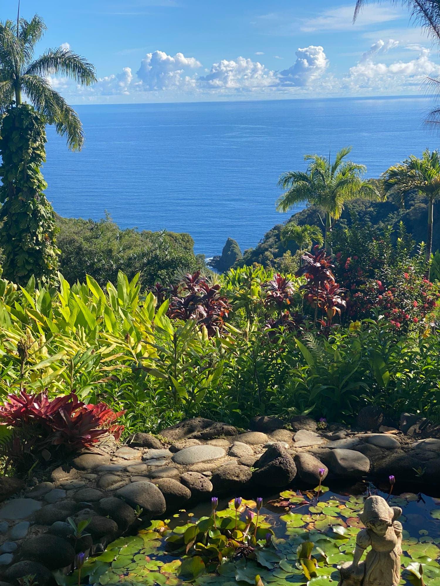 Maui’s Road to Hana: Top Stops You Can’t Miss curated by Allison Vieira