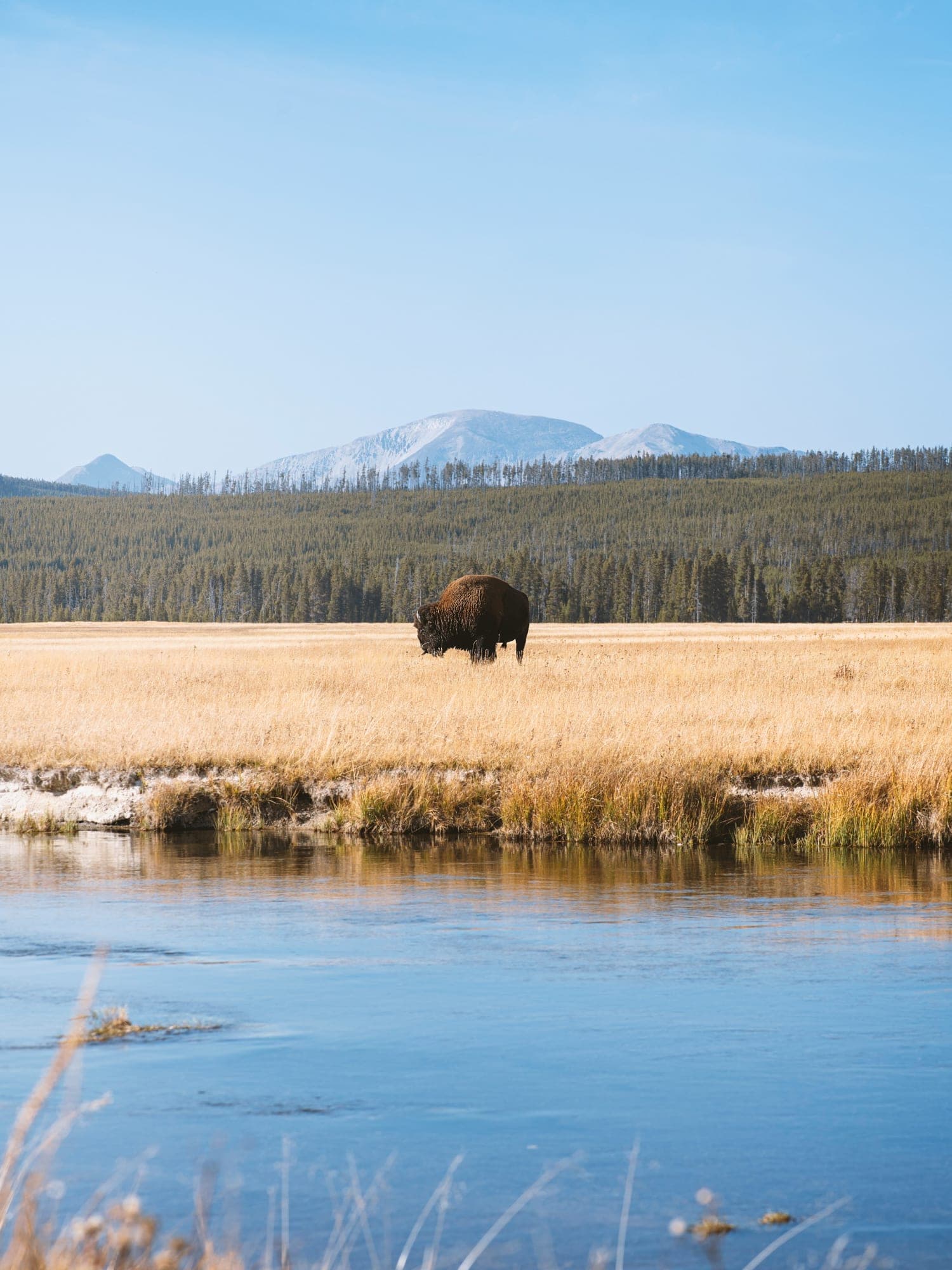 Ultimate Yellowstone Adventure: 3-Day Itinerary in Yellowstone National Park curated by Savannah Bennett