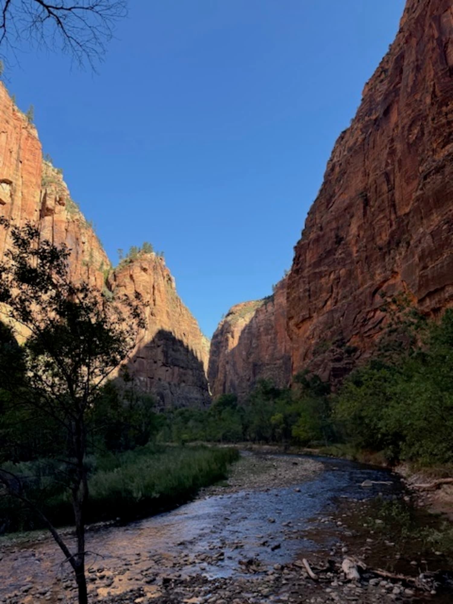 Utah Mighty Five National Parks curated by Stephen Catania