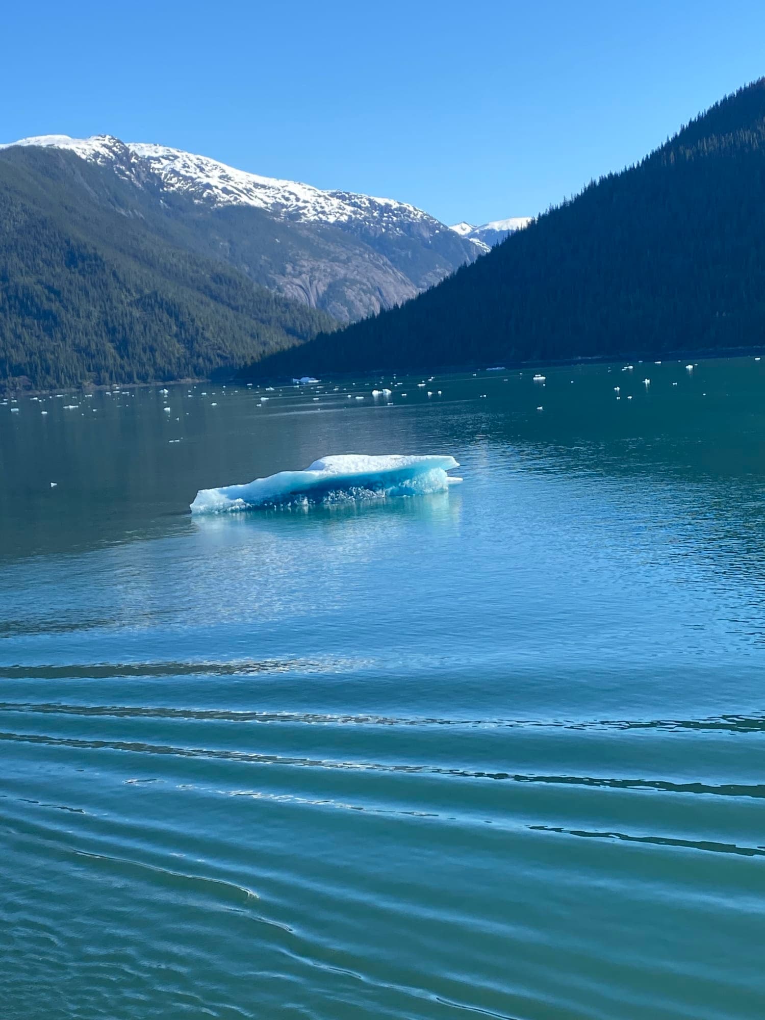 Southbound Cruisetour Alaska - Fairbanks to Vancouver curated by Keli Miller