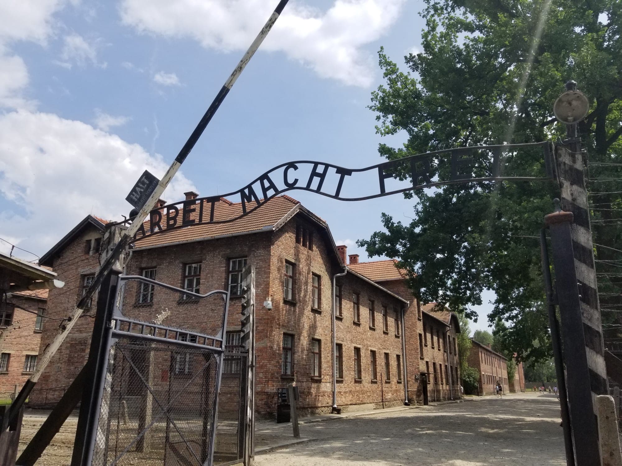 Poland: A Tapestry of History, Culture and Resilience curated by Katiya Plummer