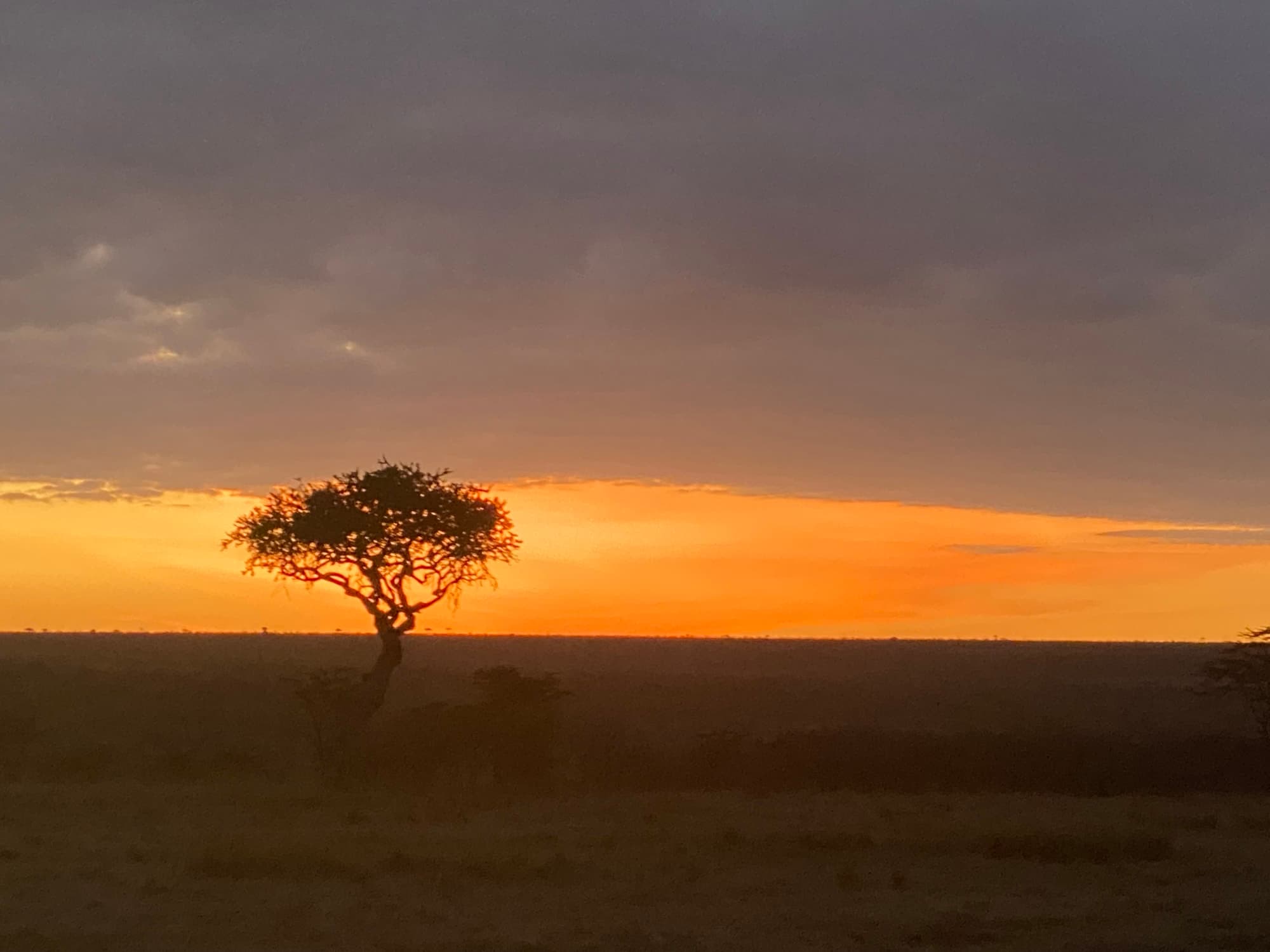 Lounging in Luxury at the Saruni Leopard Hill Reserve in Masa Mara, Kenya curated by Janine Dawson