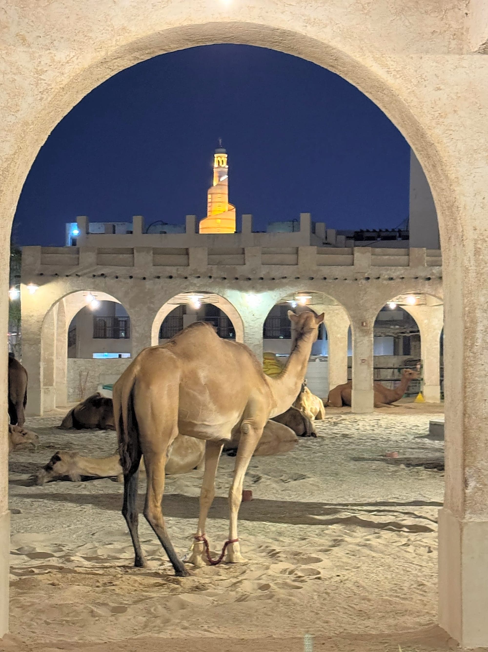 Doha Guide: Discover Qatar's Magical Blend of Tradition and Modernity curated by Michele Rhudy