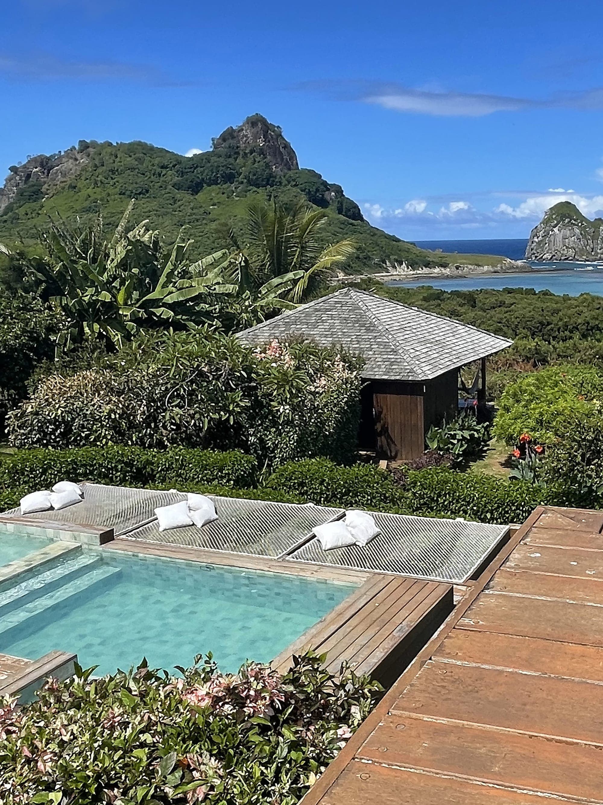 Discover The Far Reaches of Brazil curated by Emily Rogers