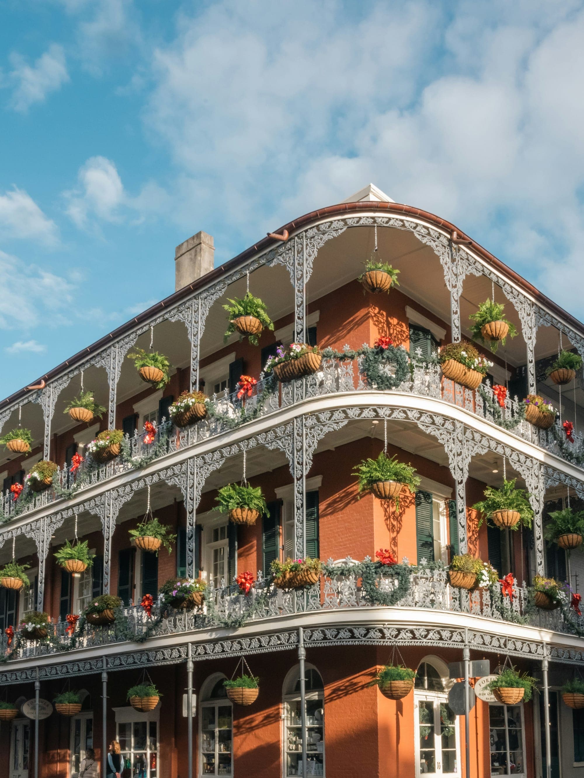 A Guide to New Orleans curated by Angela Hope
