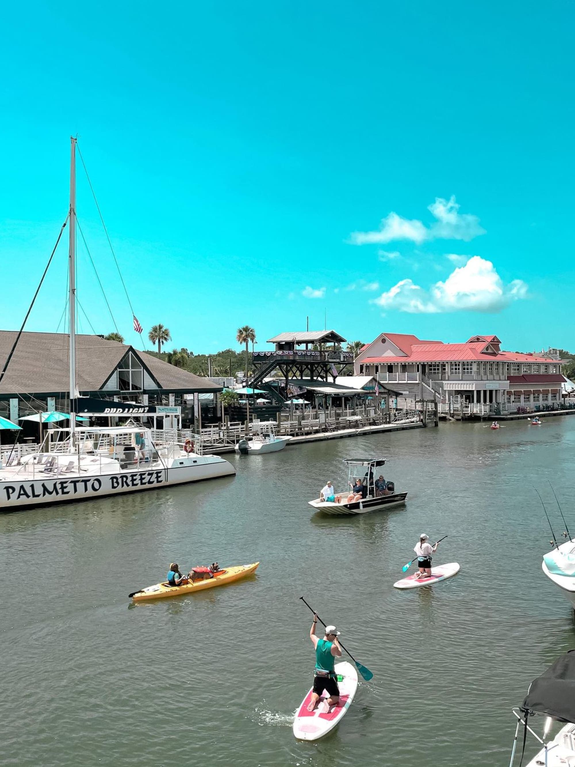 Things Not to Miss in Charleston, SC curated by Shaun Hammond