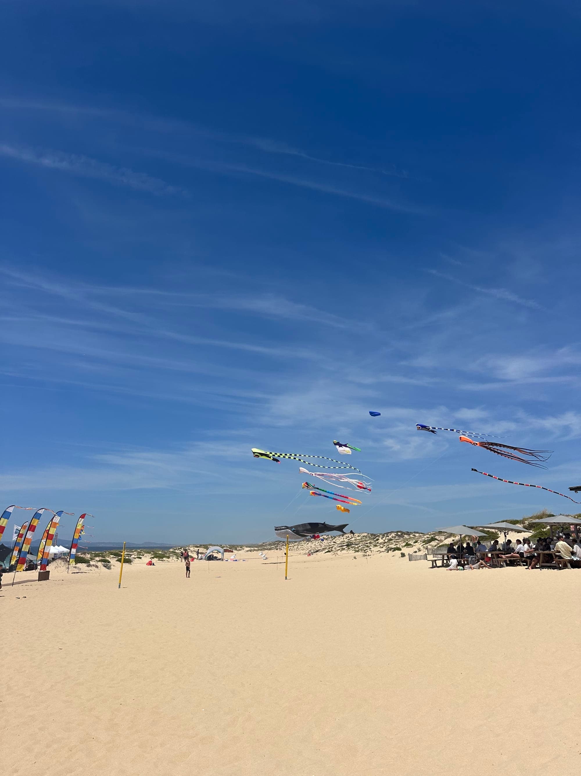 3 Days in Comporta: Portugal's Beachside Hidden Gem curated by Charlotte Flynn