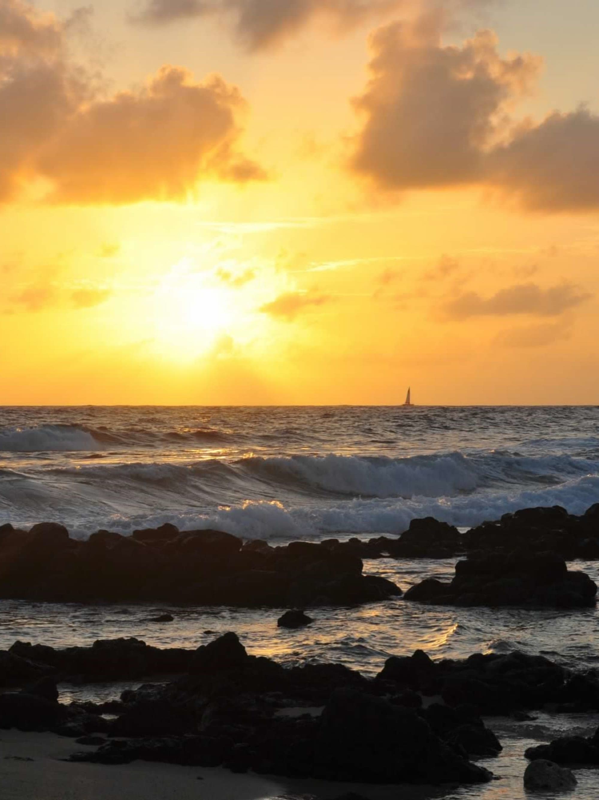 The Best of Maui curated by Robin Hurst