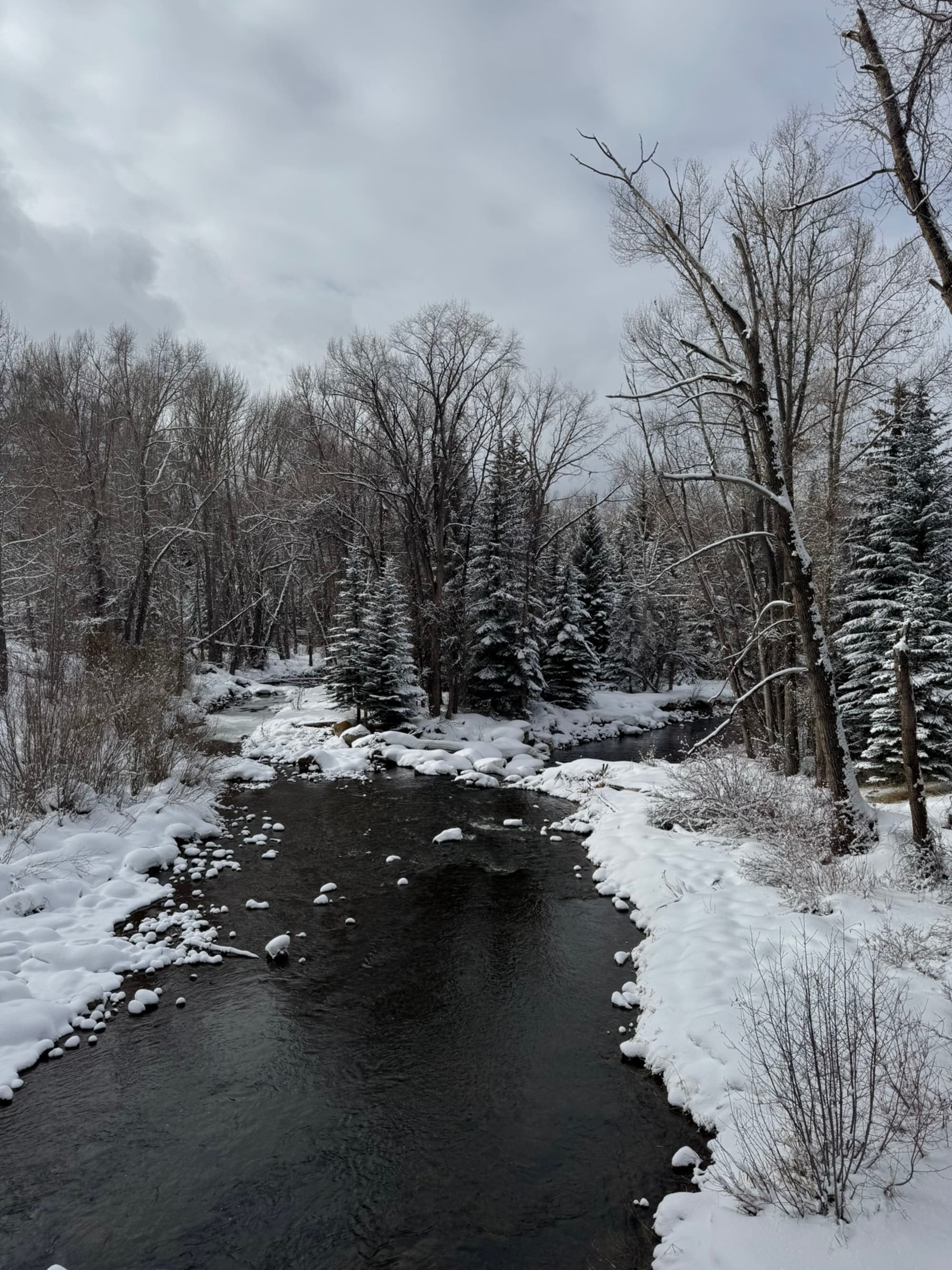 Dog Friendly Winter Guide to Aspen curated by Hayley Fulton