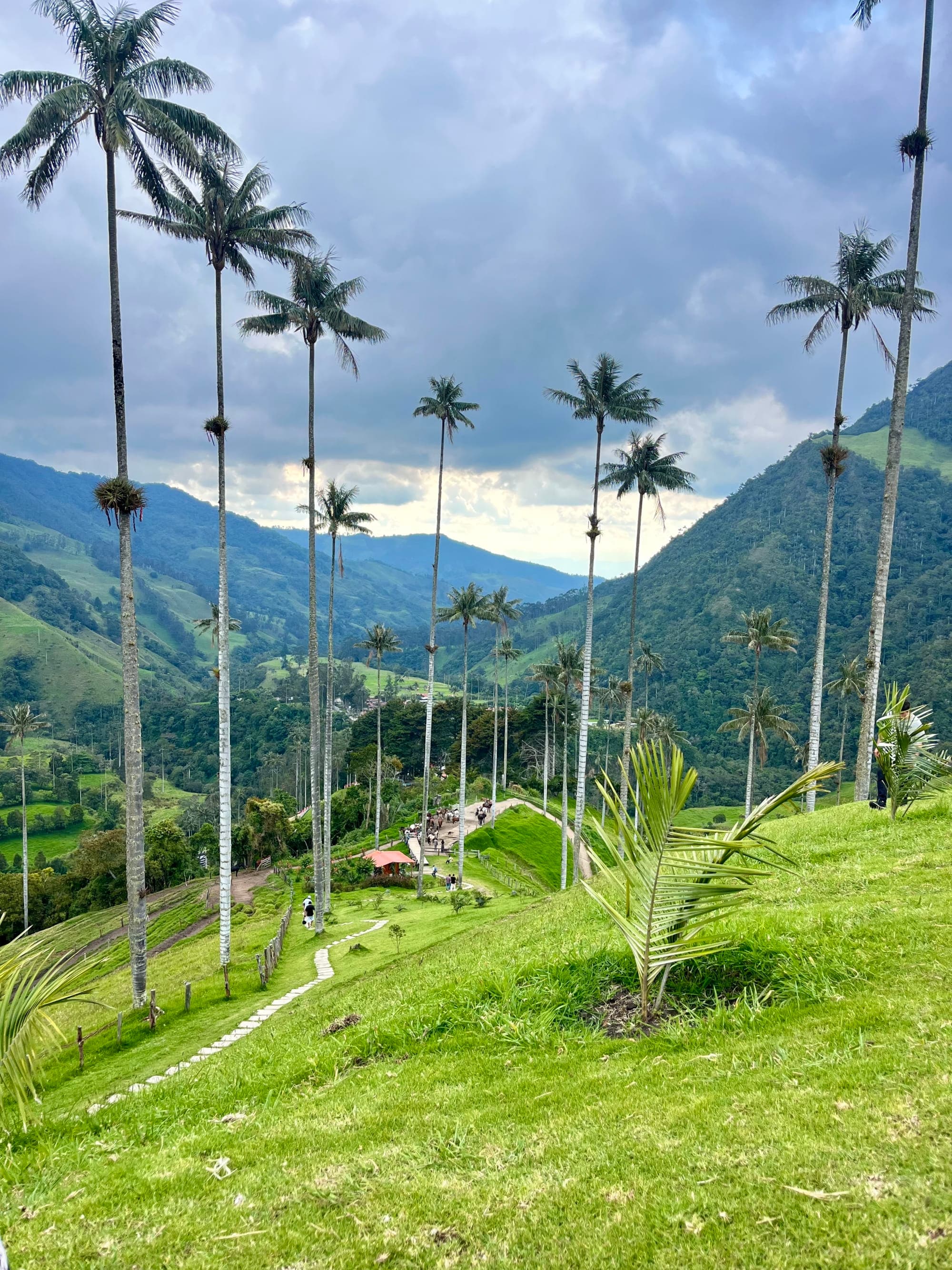 Salento: Colombia's Hot Spot for Adventure and Coffee curated by Haley Nadler