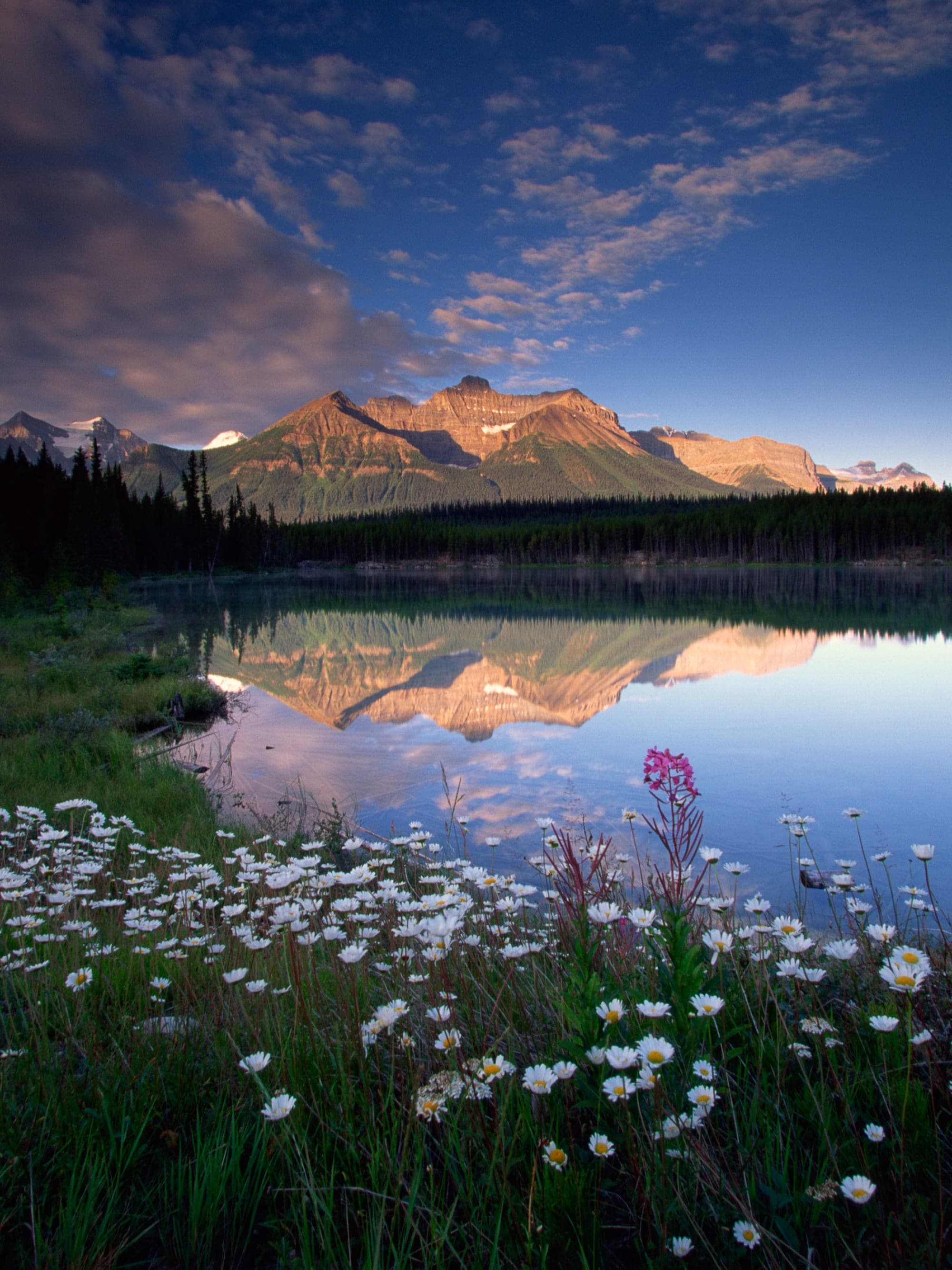 Best National Park Alternatives for 2025: Luxury Ranches, Canadian Parks & Wilderness Lodges curated by Jonna Robertson