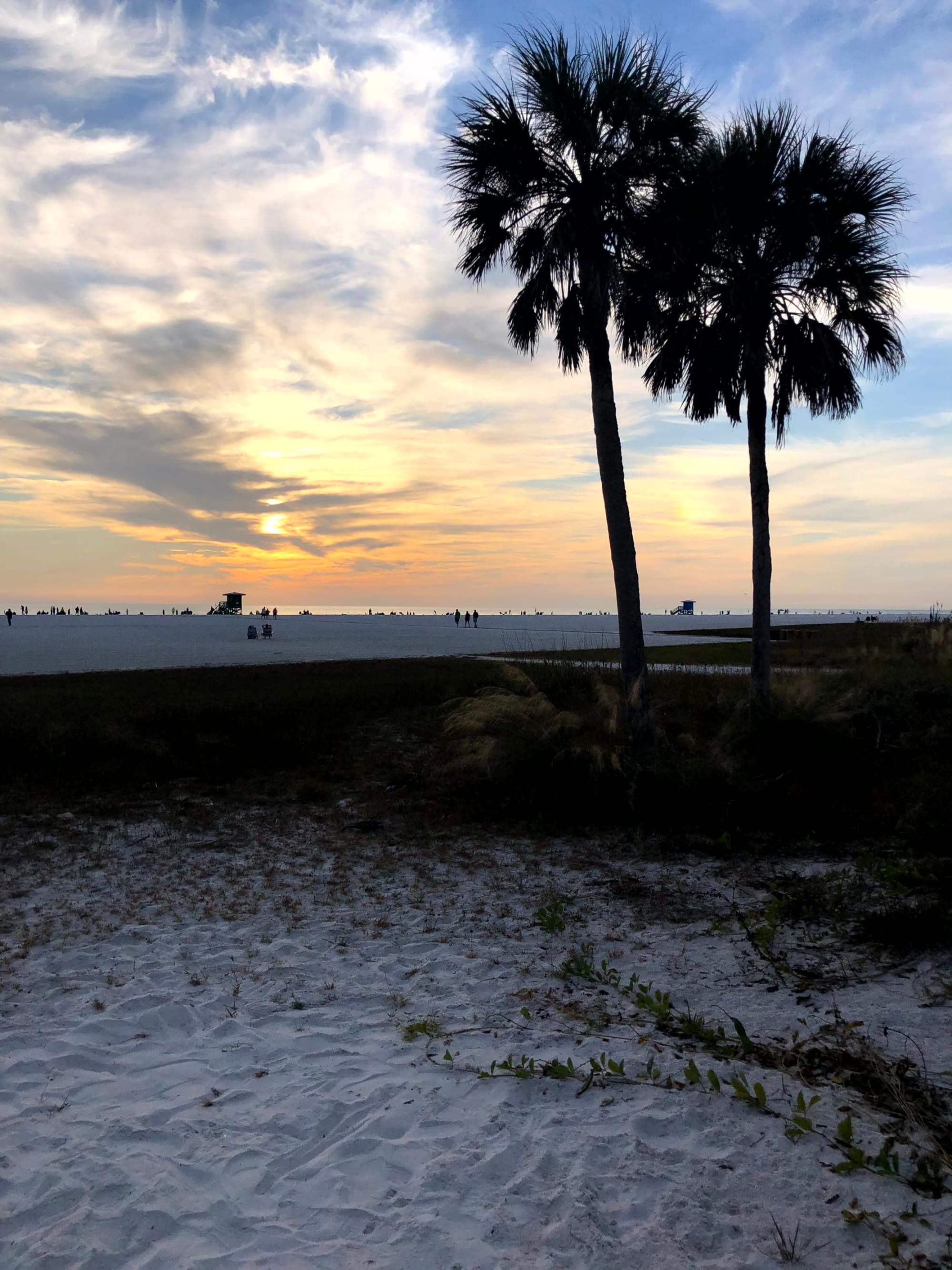 Sun, Sand and Sarasota: Ultimate Getaway Guide curated by Dylan Patterson