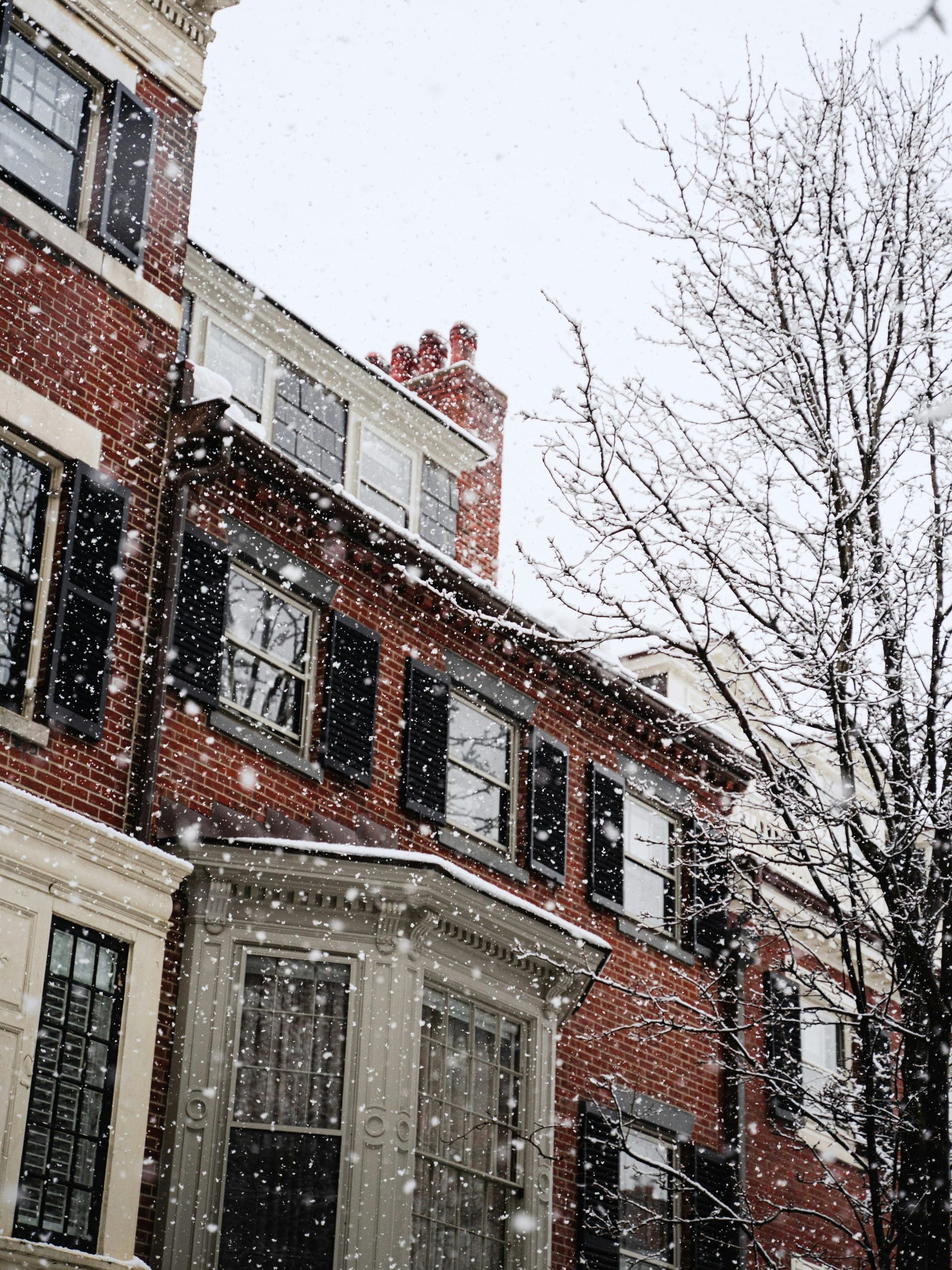 Winter Weekend in Boston, Massachusetts curated by Sasha Brandenberger