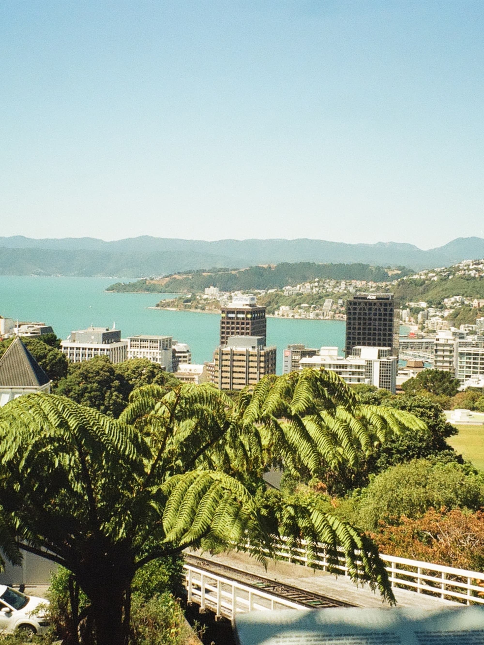 Wellington, New Zealand for the Food & Wine Lover curated by Courtney Bishop