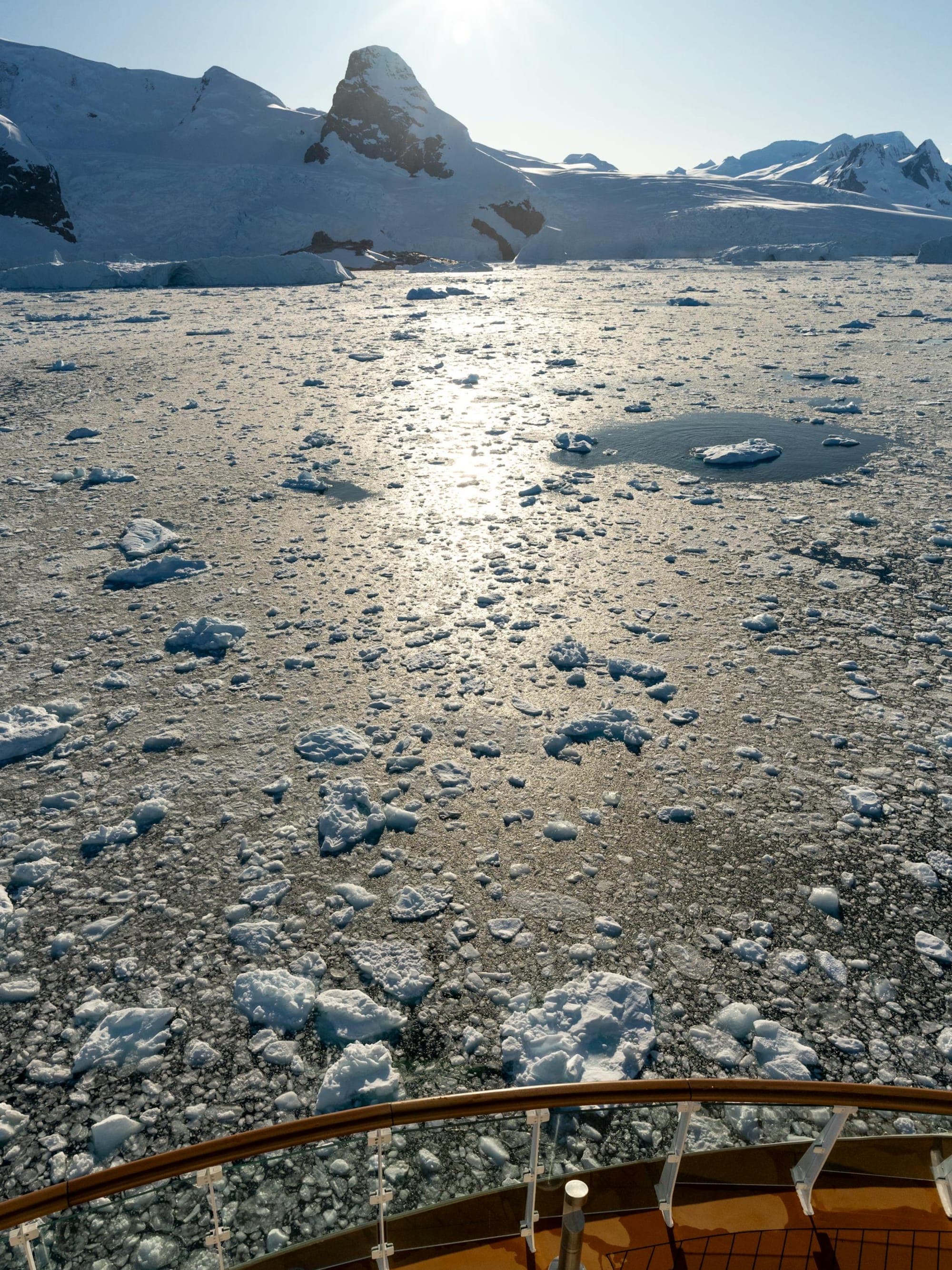 Antarctica Cruise Options: How to Choose the Best Expedition for You curated by Savannah Bennett