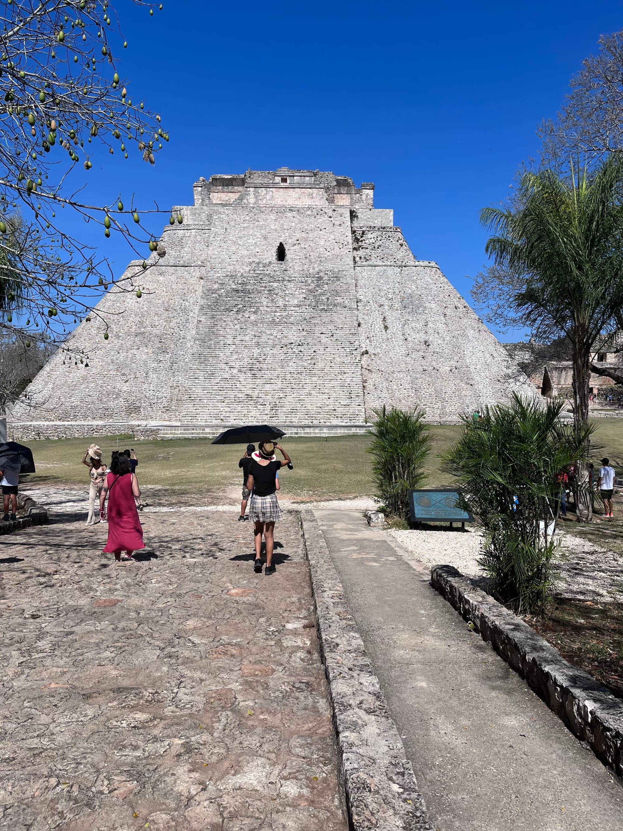 7-Days of Charm: Escape to Mérida, Mexico curated by Lawren Desai