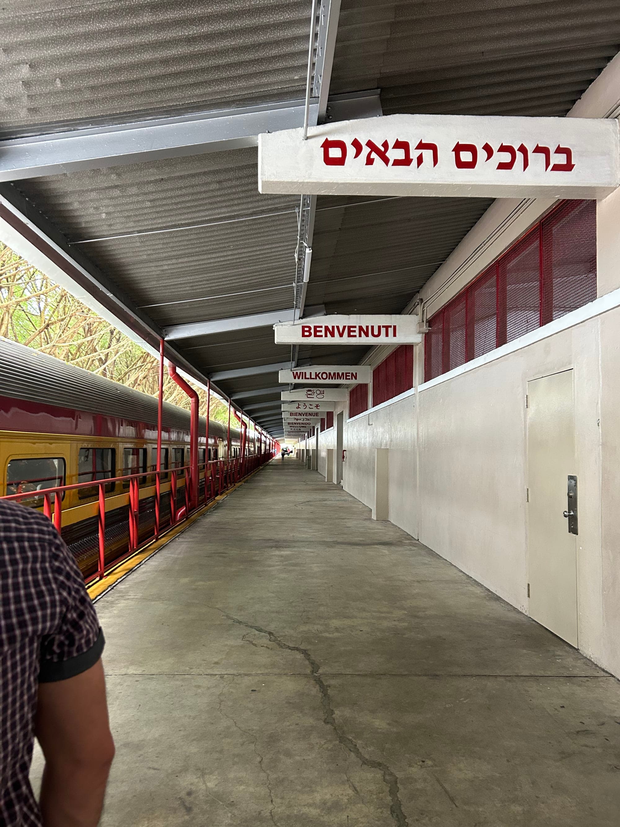 A Journey on the Panama Canal Railway curated by Makini Bridgewater