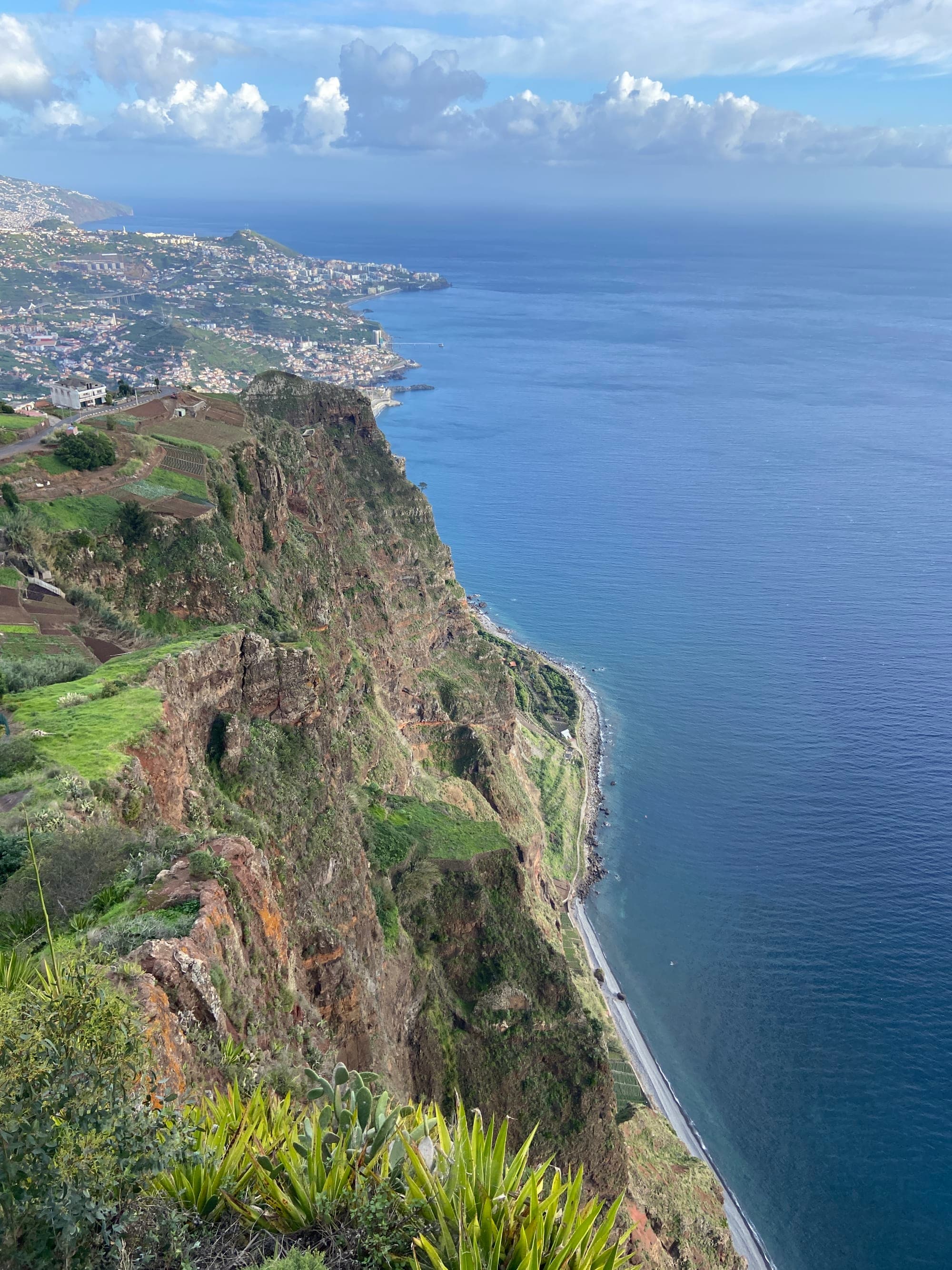 Discover Madeira: Portugal's Atlantic Gem curated by Nicola Volpi