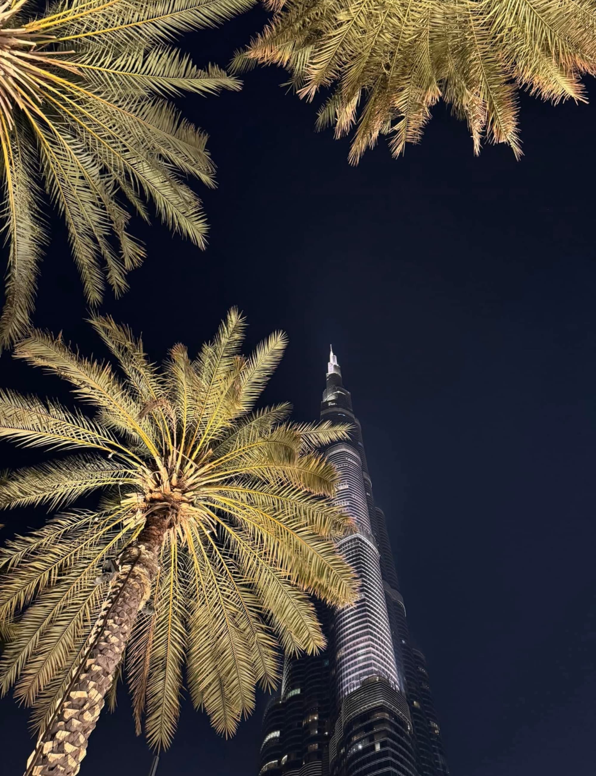 Dubai: An Insider's Guide curated by Danielle Moore