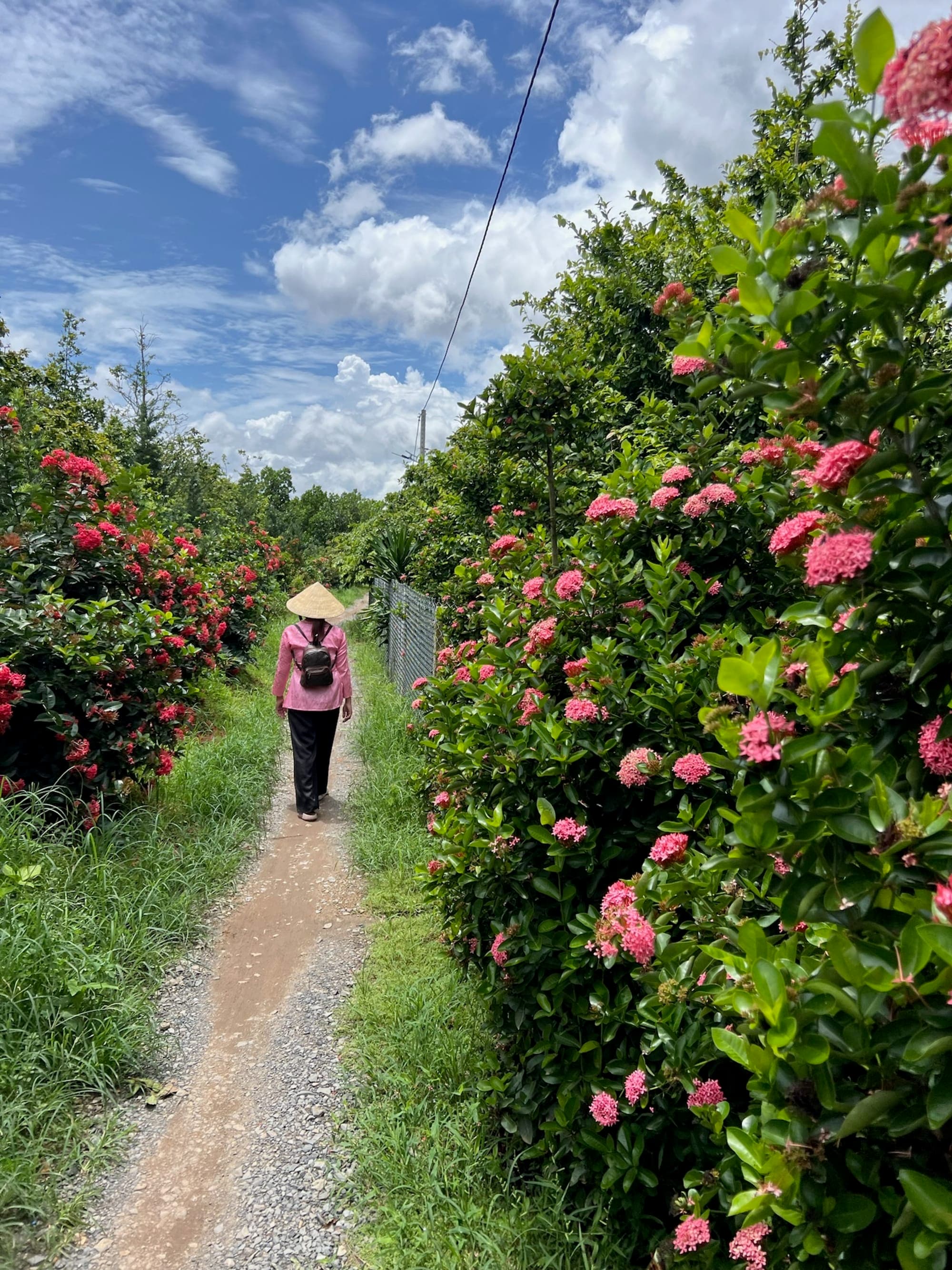 Ho Chi Minh City, the Former Saigon: The Heartbeat of Southern Vietnam curated by Michele Rhudy