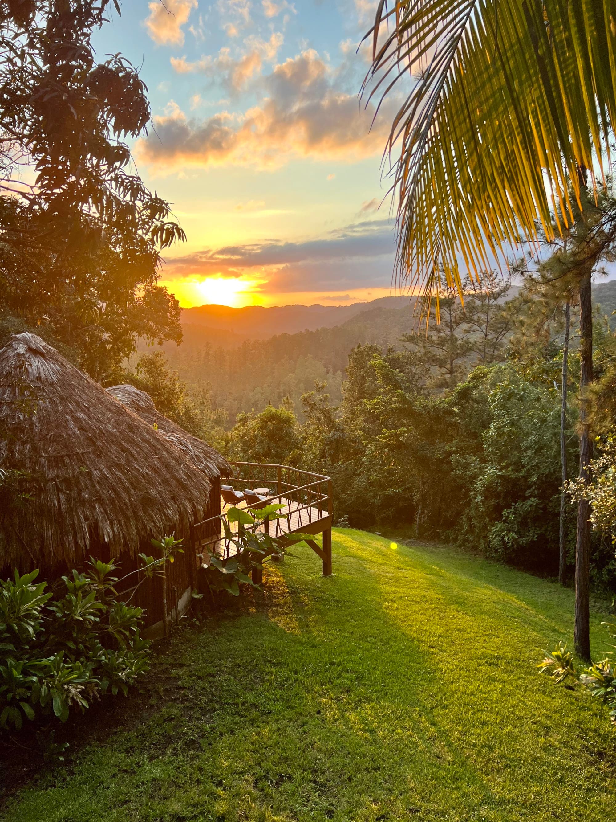 The Full Belize Experience: From the Reef to the Rainforest curated by Connie Norwell