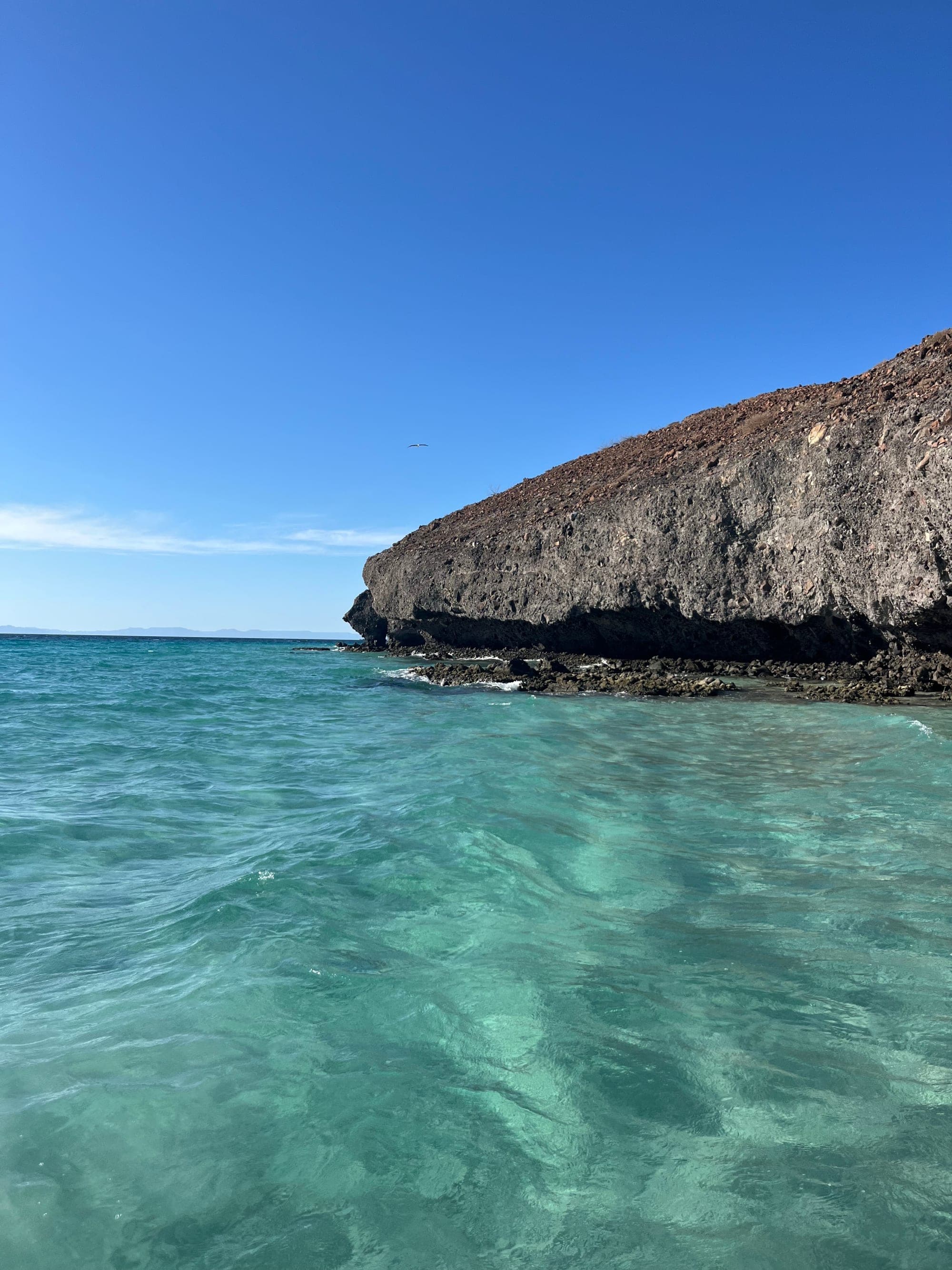 Tranquil Mexico: The Natural Charm of La Paz curated by Nancy Pappas