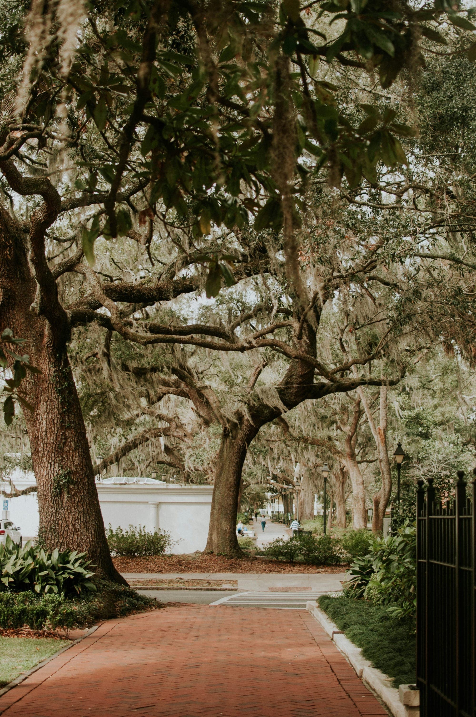 Sweet Savannah: A Local’s Guide to Southern Charm curated by Emily Fernandez