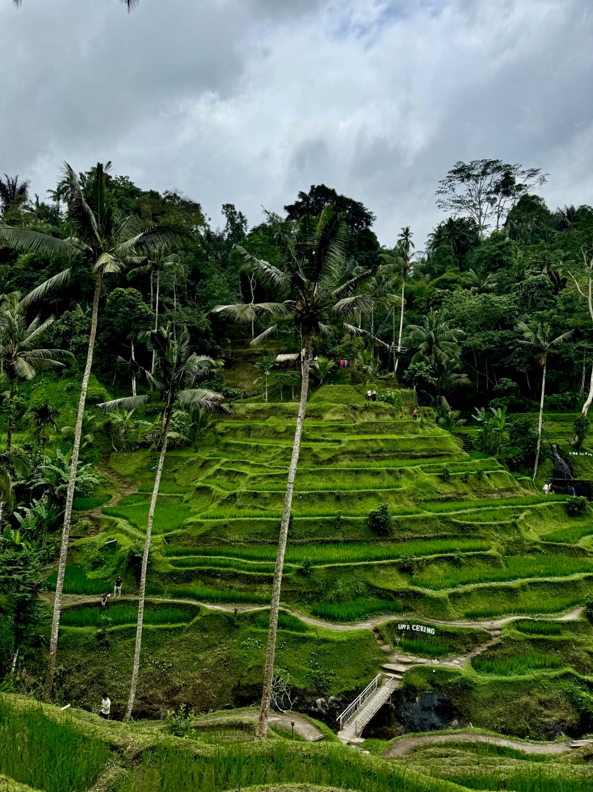 Three Days in Ubud, Bali curated by Grace Sarkor