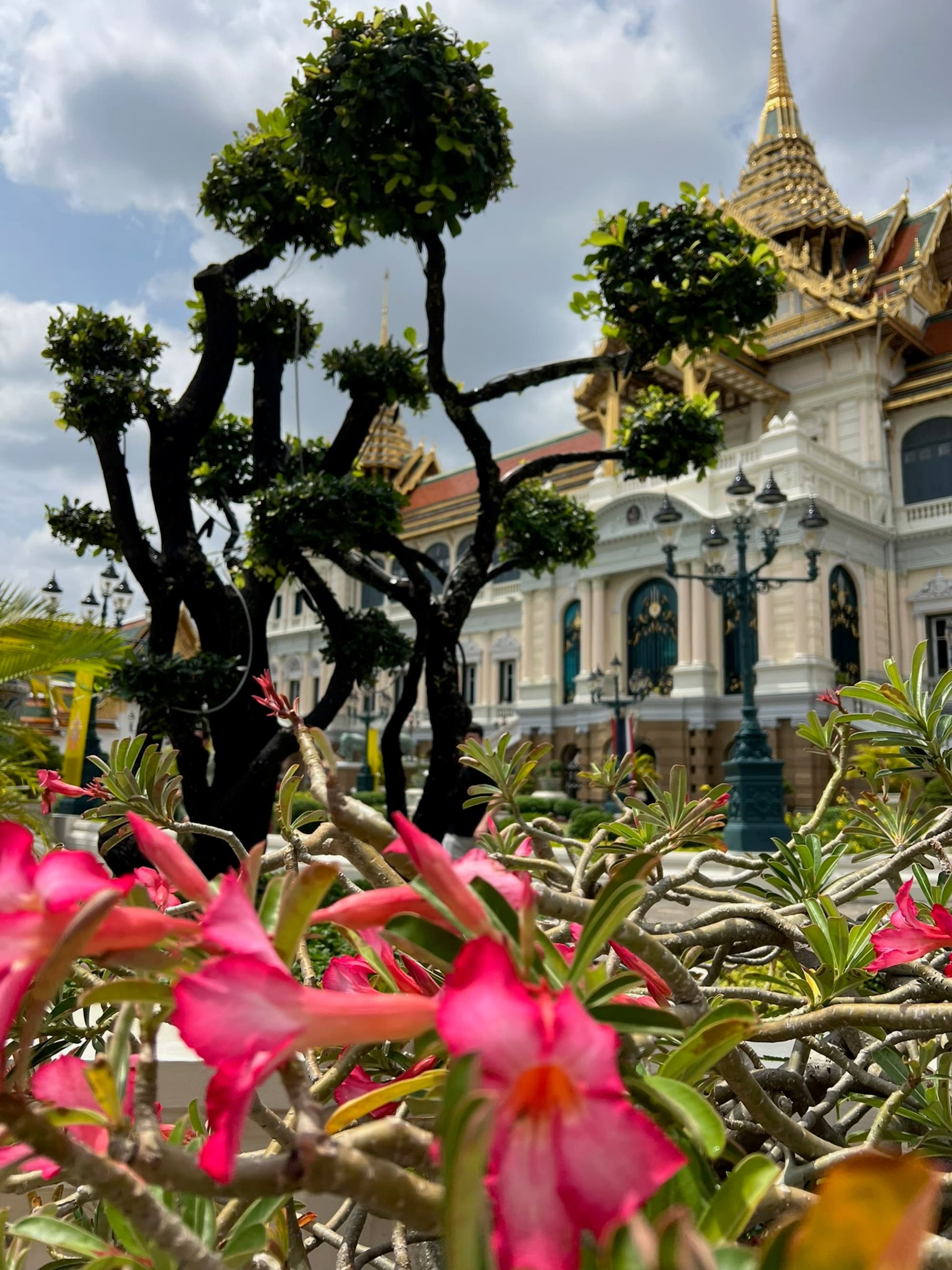 From Bangkok to Chiang Mai, Thailand Embraces Its White Lotus Era curated by Michele Rhudy