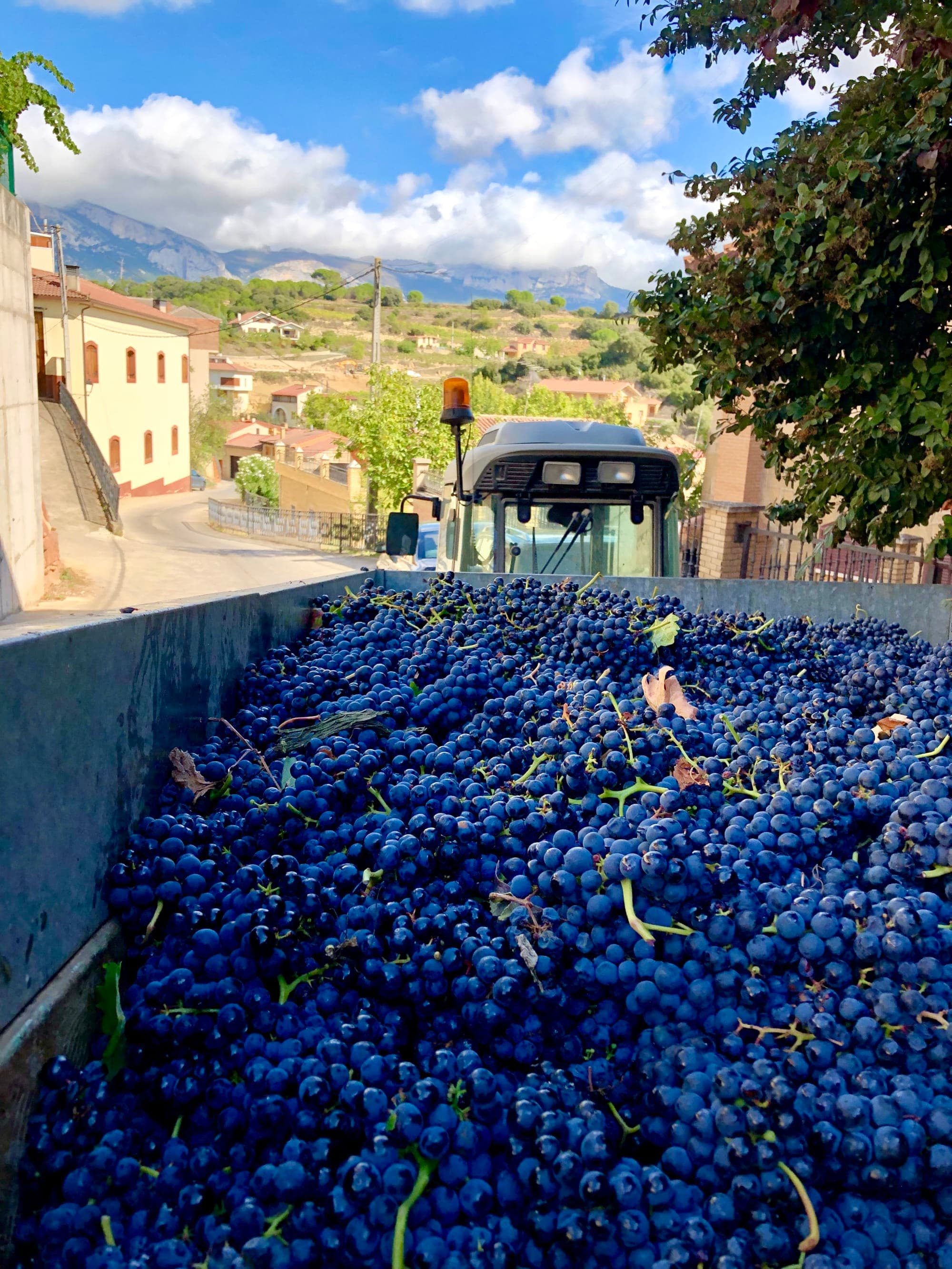 Basquing in Walks and Wine Highlights of Spain and France’s Basque Region curated by Amber Fox