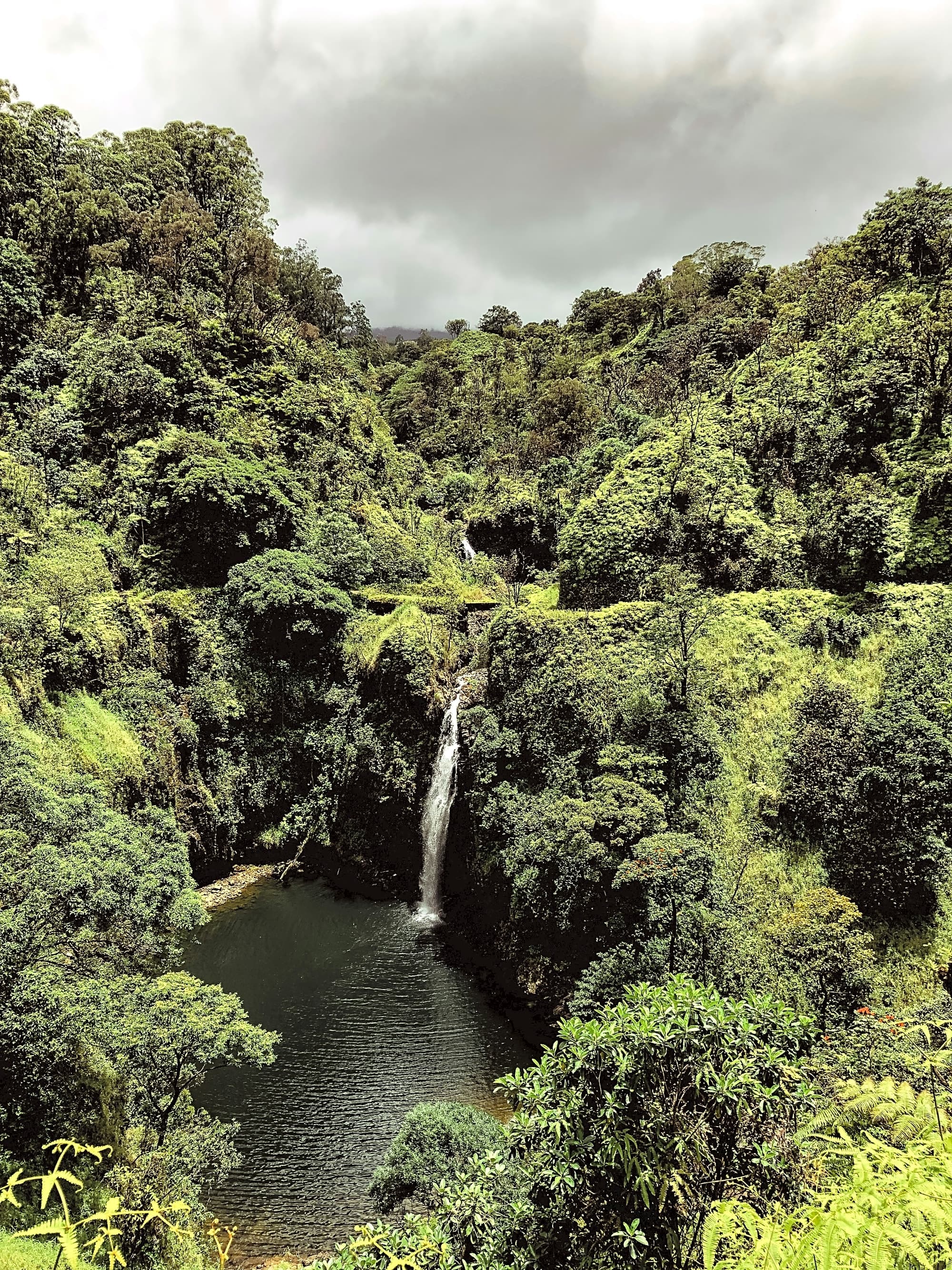 Maui Essentials: Exploring the Island by Land, Air and Water curated by Angela Tucker