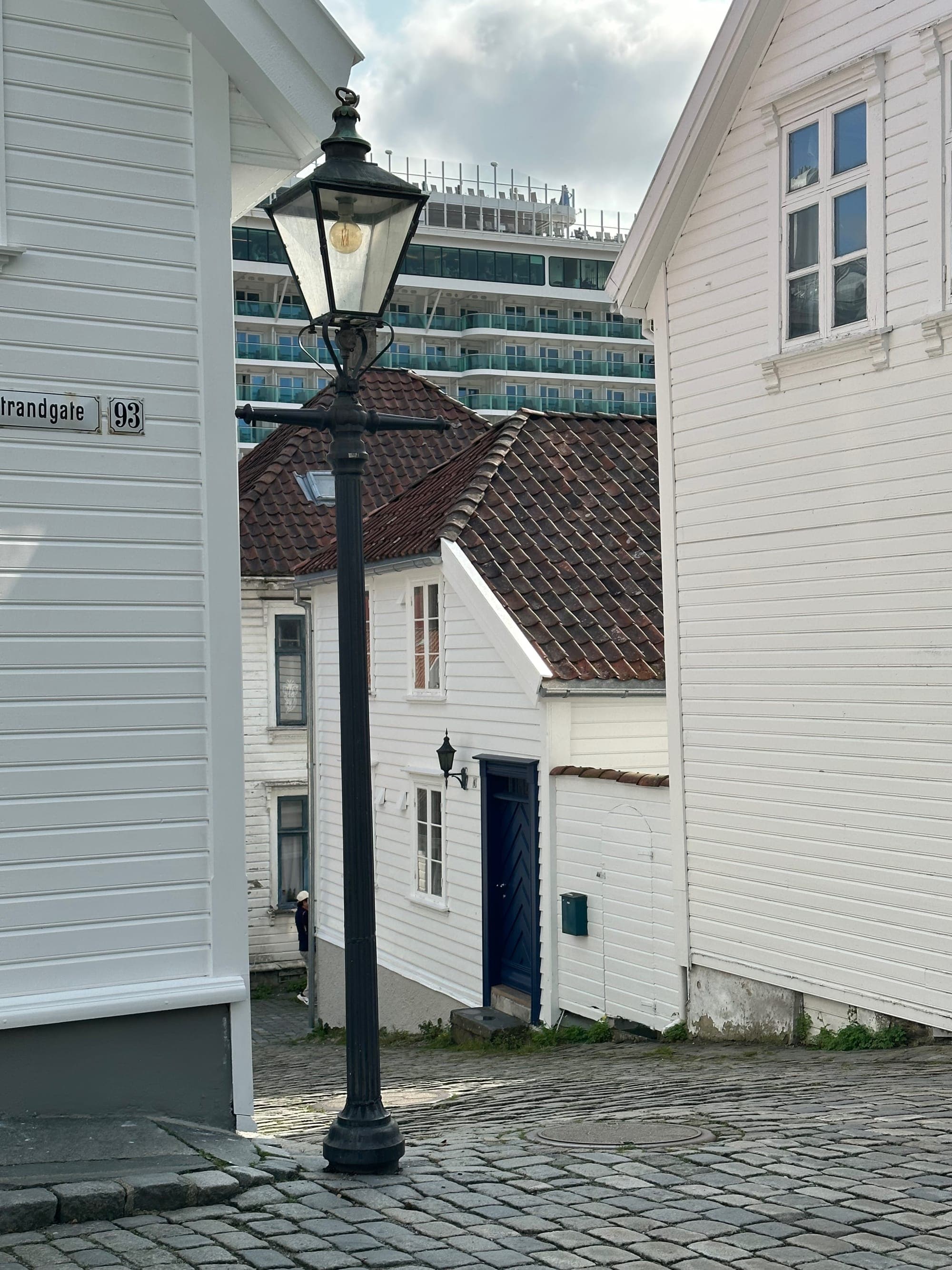 Accessible Cruise Ports in the Norwegian Fjords: A Guide for Travelers with Chronic Illness and/or Disability curated by Sally Riggs