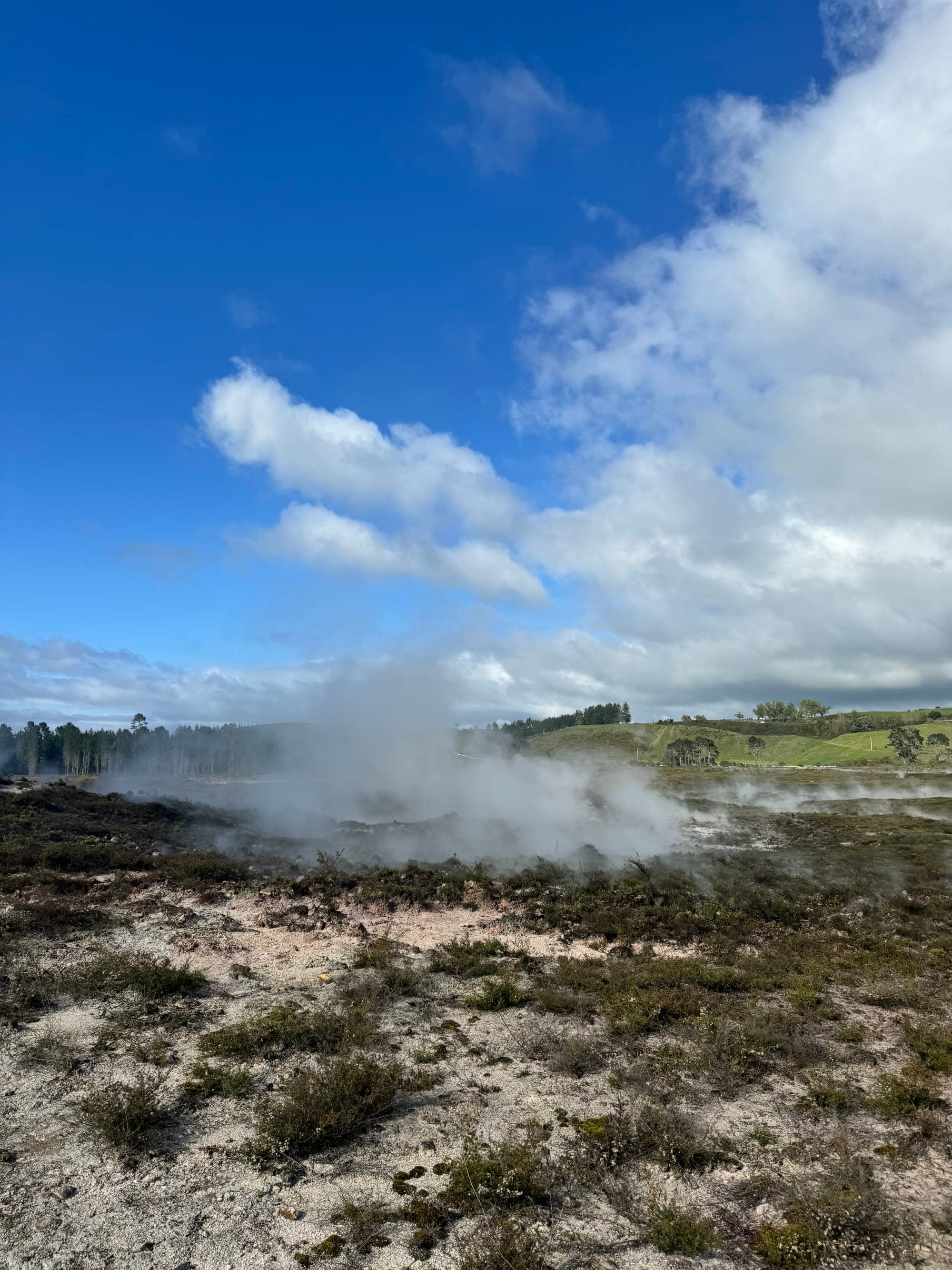 One Week Adventure on New Zealand’s North Island: Highlights, Hikes and Hidden Gems curated by Cam Le