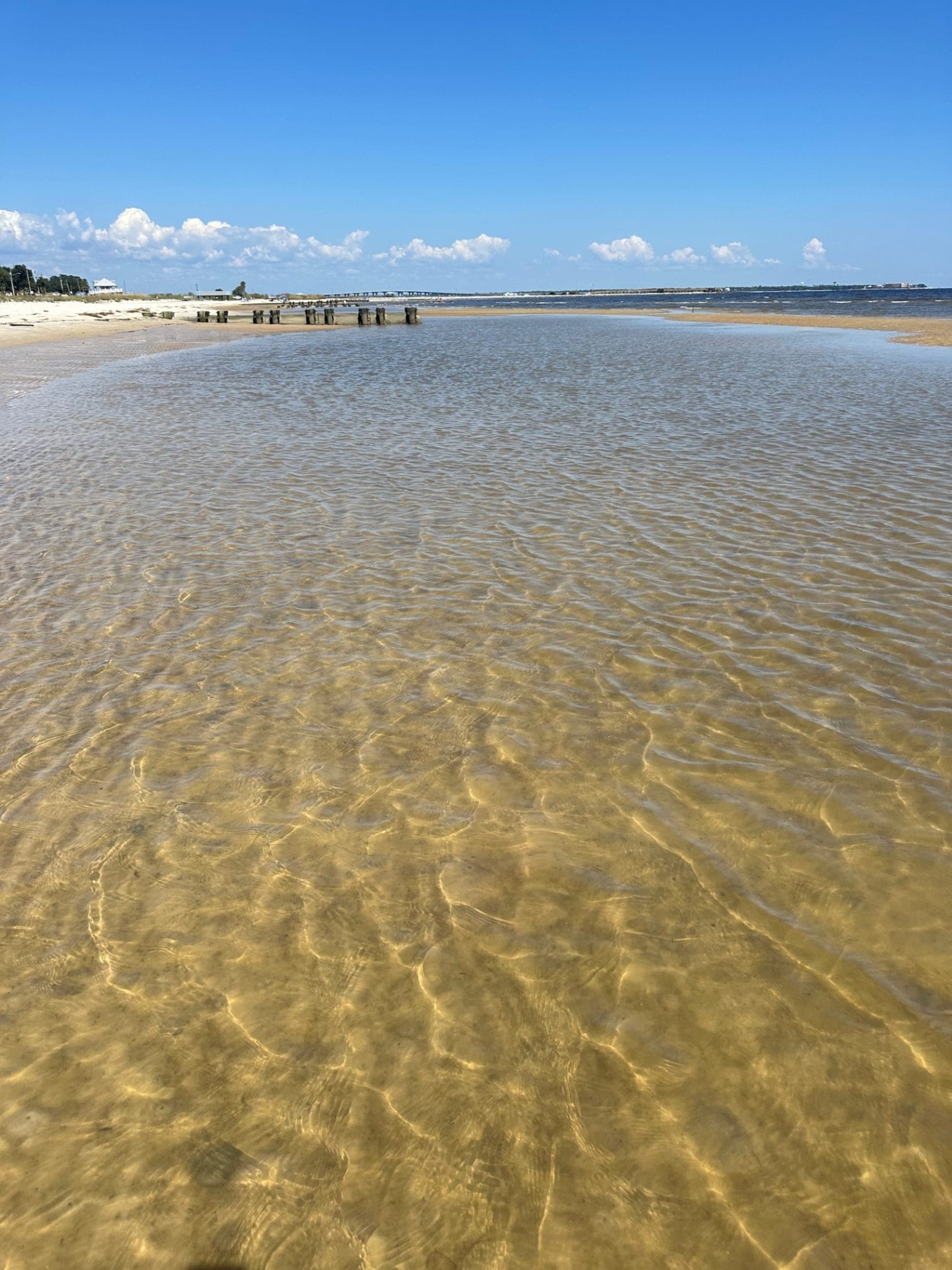 Beaches, Po'Boys and Blues in Bay St. Louis, MS curated by Kate Asleson