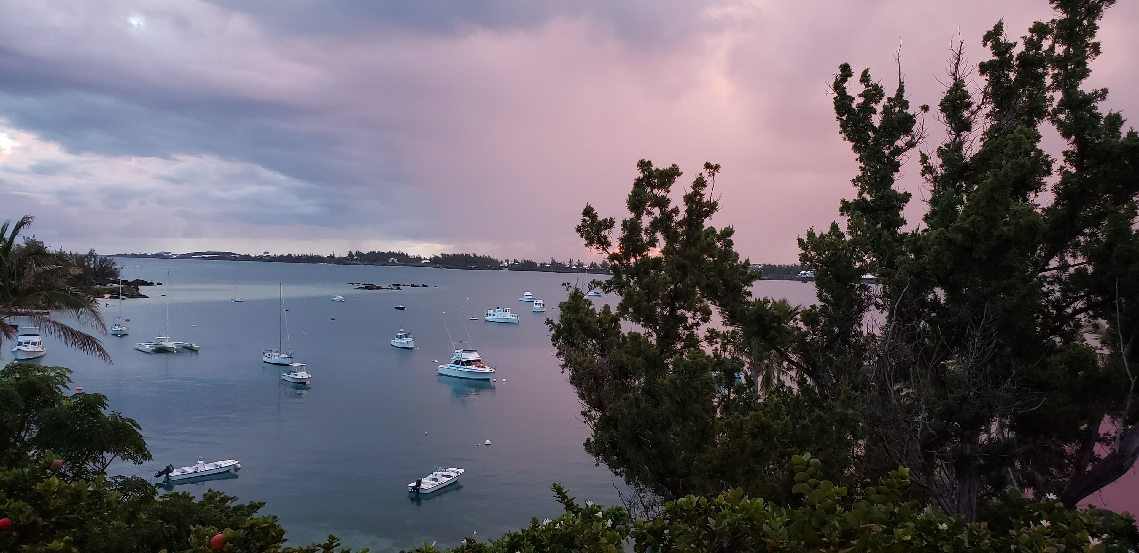 A view of the water with fishing boats and trees at sunset.