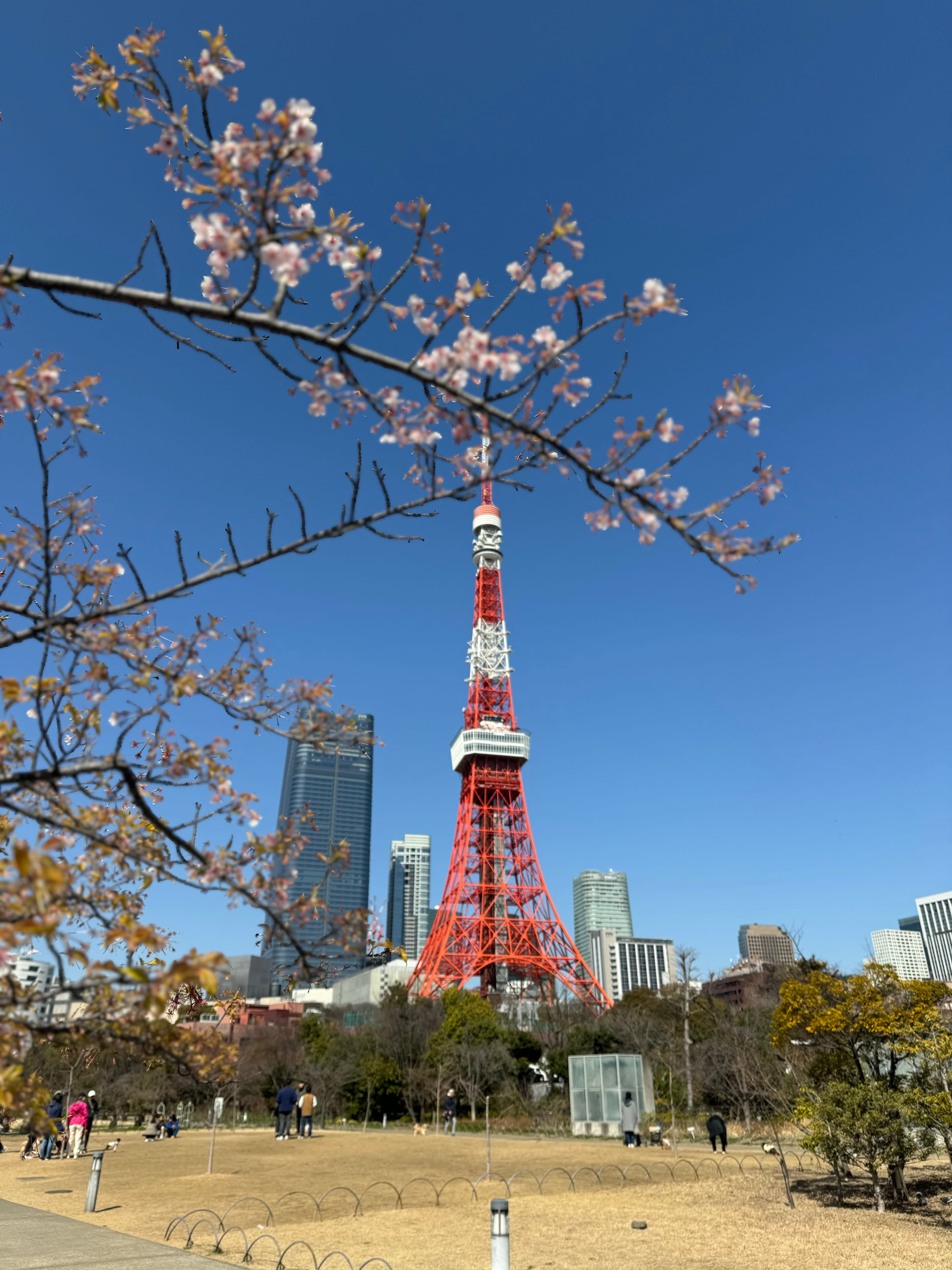 View of a tower in Japan