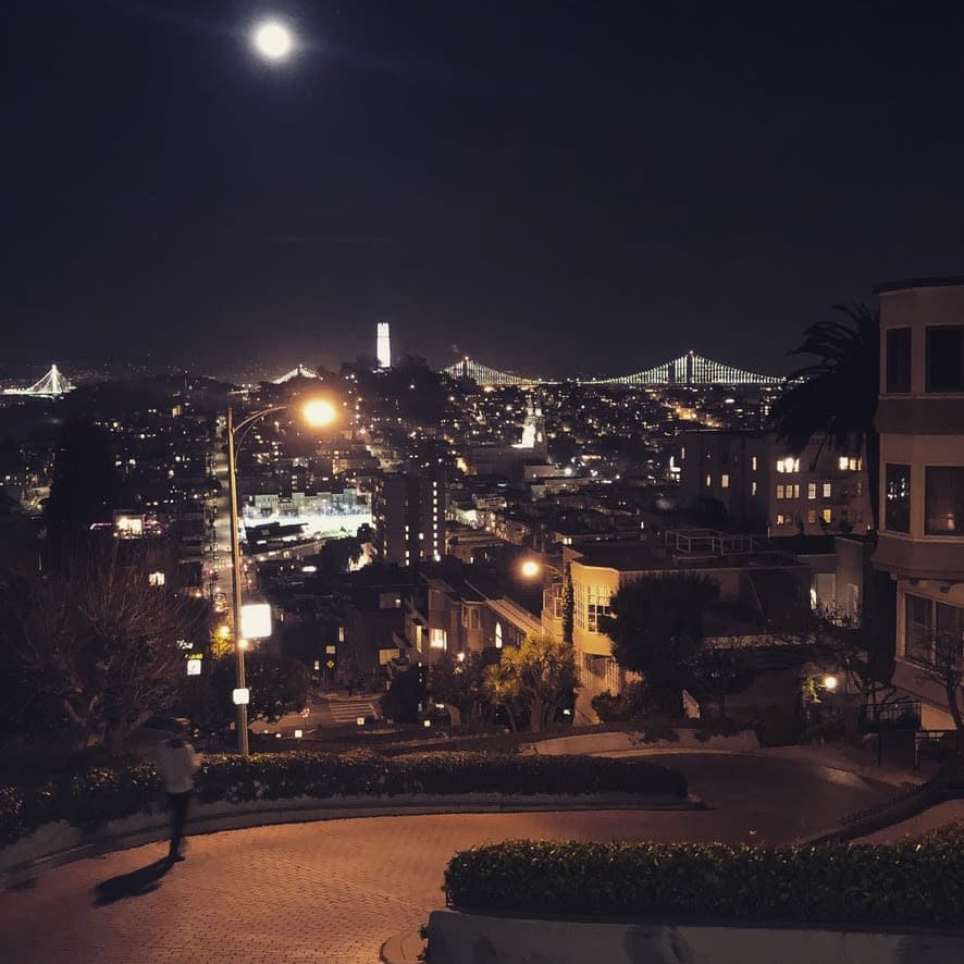 A view of San Francisco and city lights from a hilltop at night