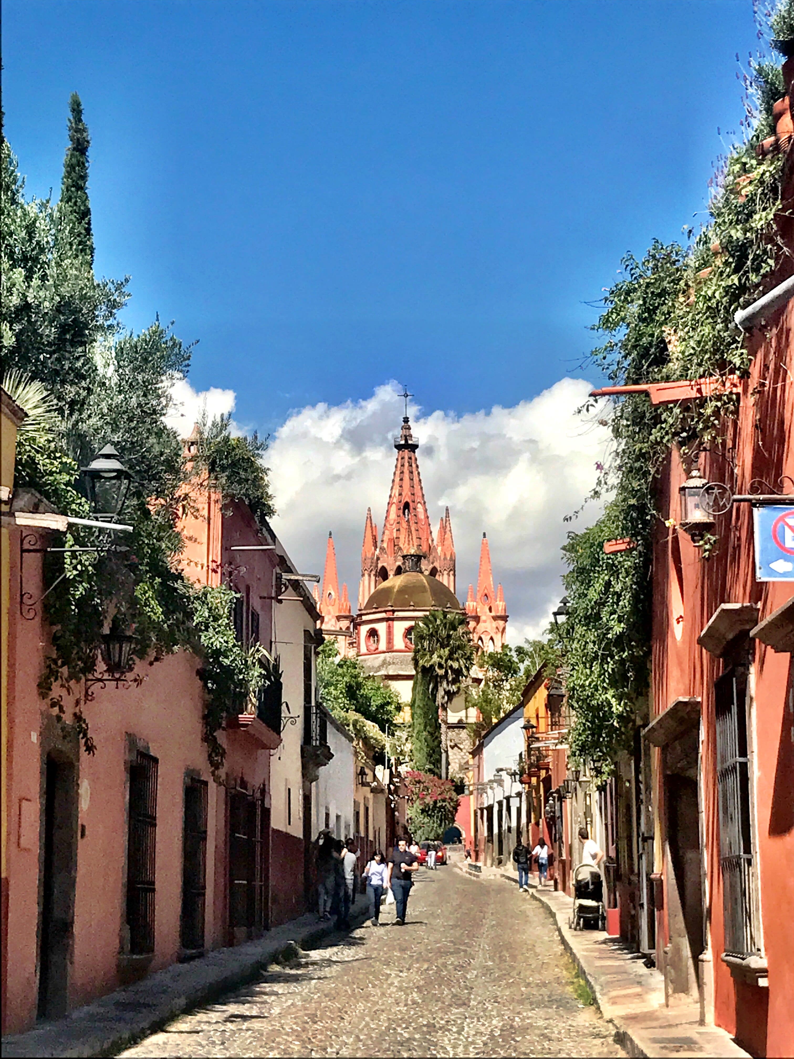 San Miguel de Allende cathedral at the end of a pink stone alleyway with greenery and blue sky