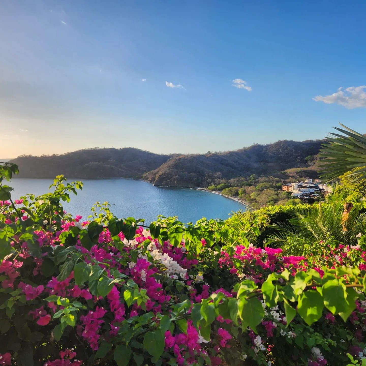 Beautiful view of the lake surrounded by flowers and greenery