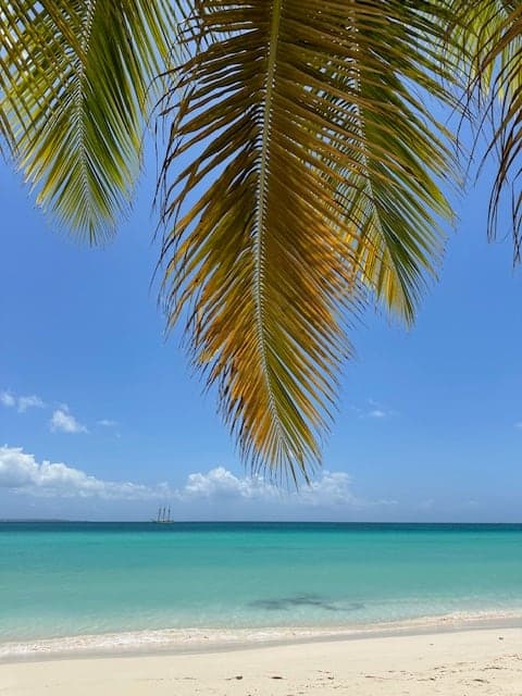 Beautiful view of sea from beach